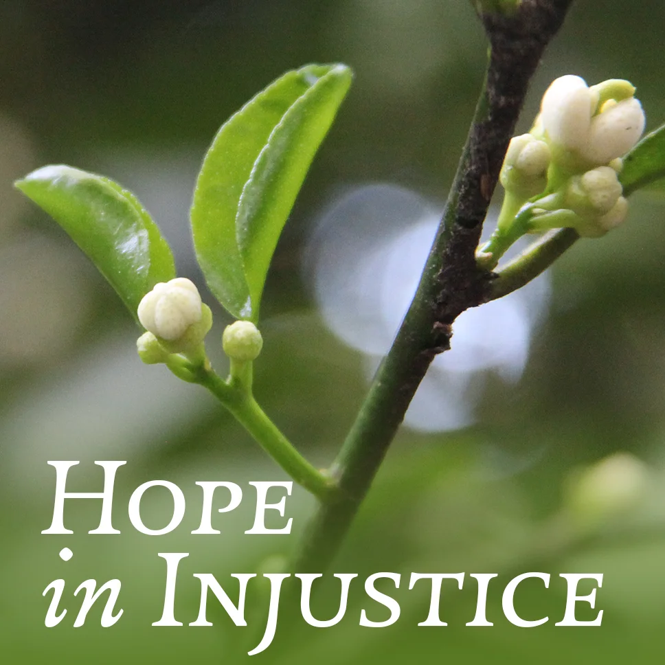 Hope in Injustice