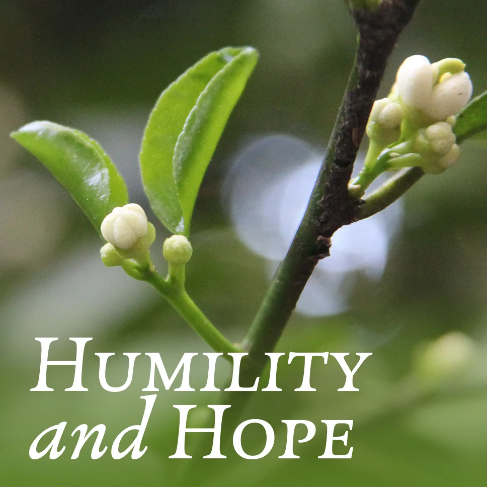 Humility and Hope