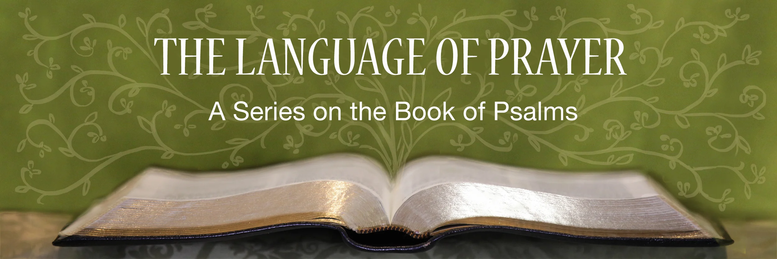 0. Psalms Series Banner.jpg