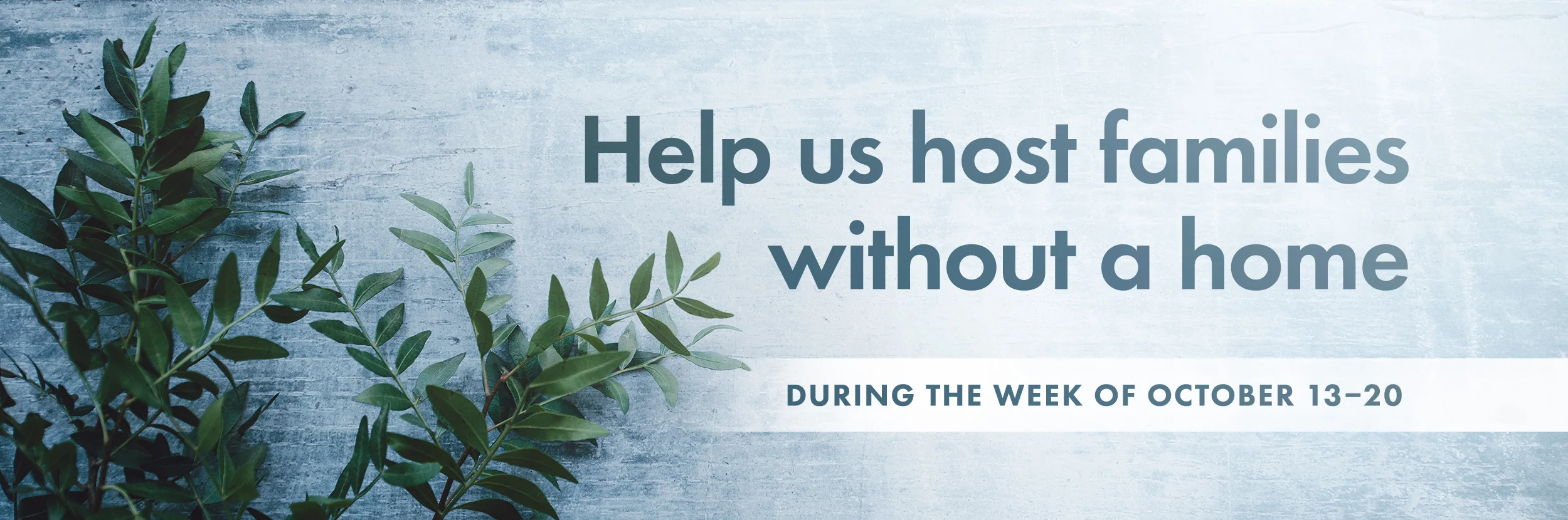 2018-Caritas-Web-Banner.jpg