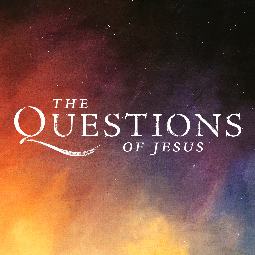 The Questions of Jesus