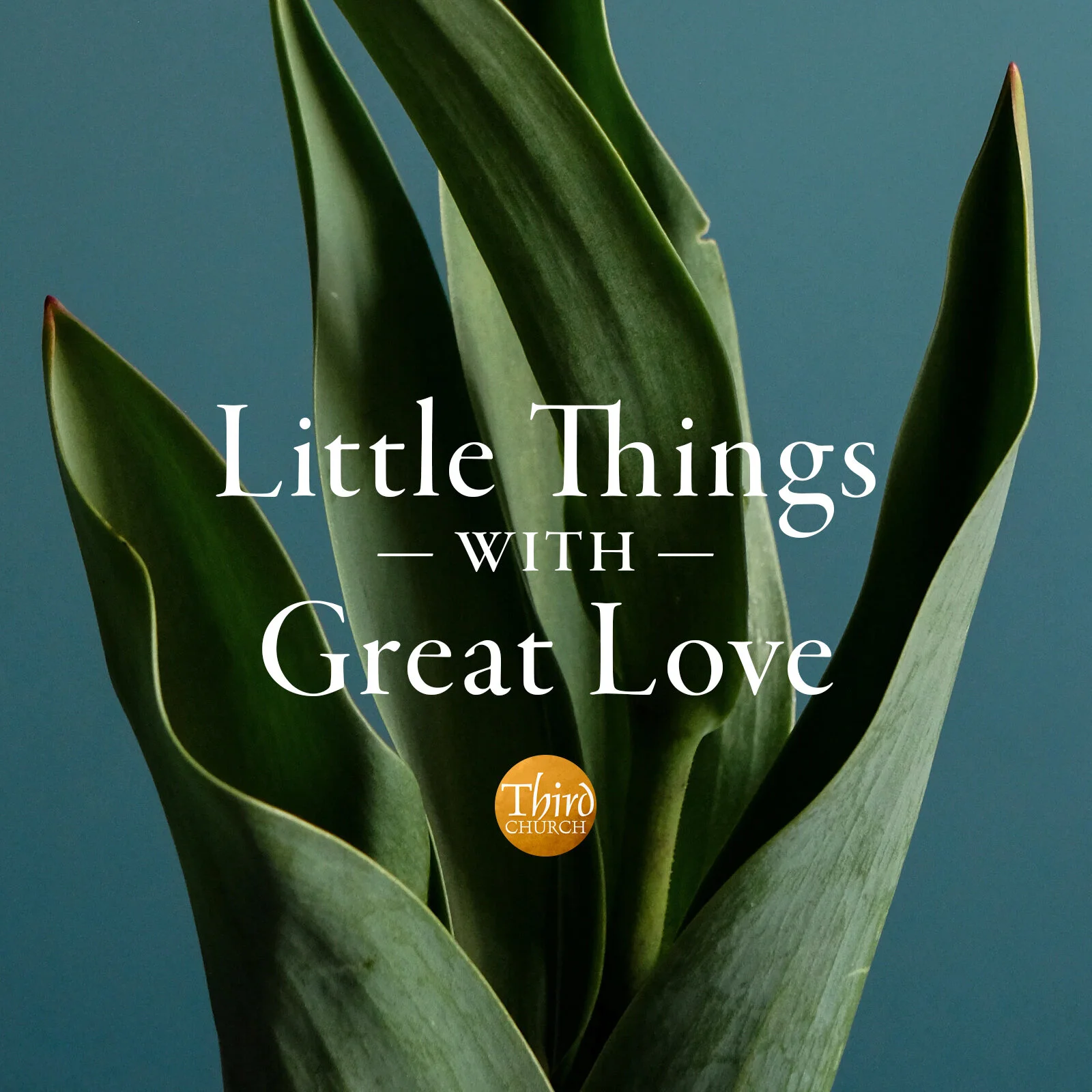 Little Things with Great Love: Danny Avula