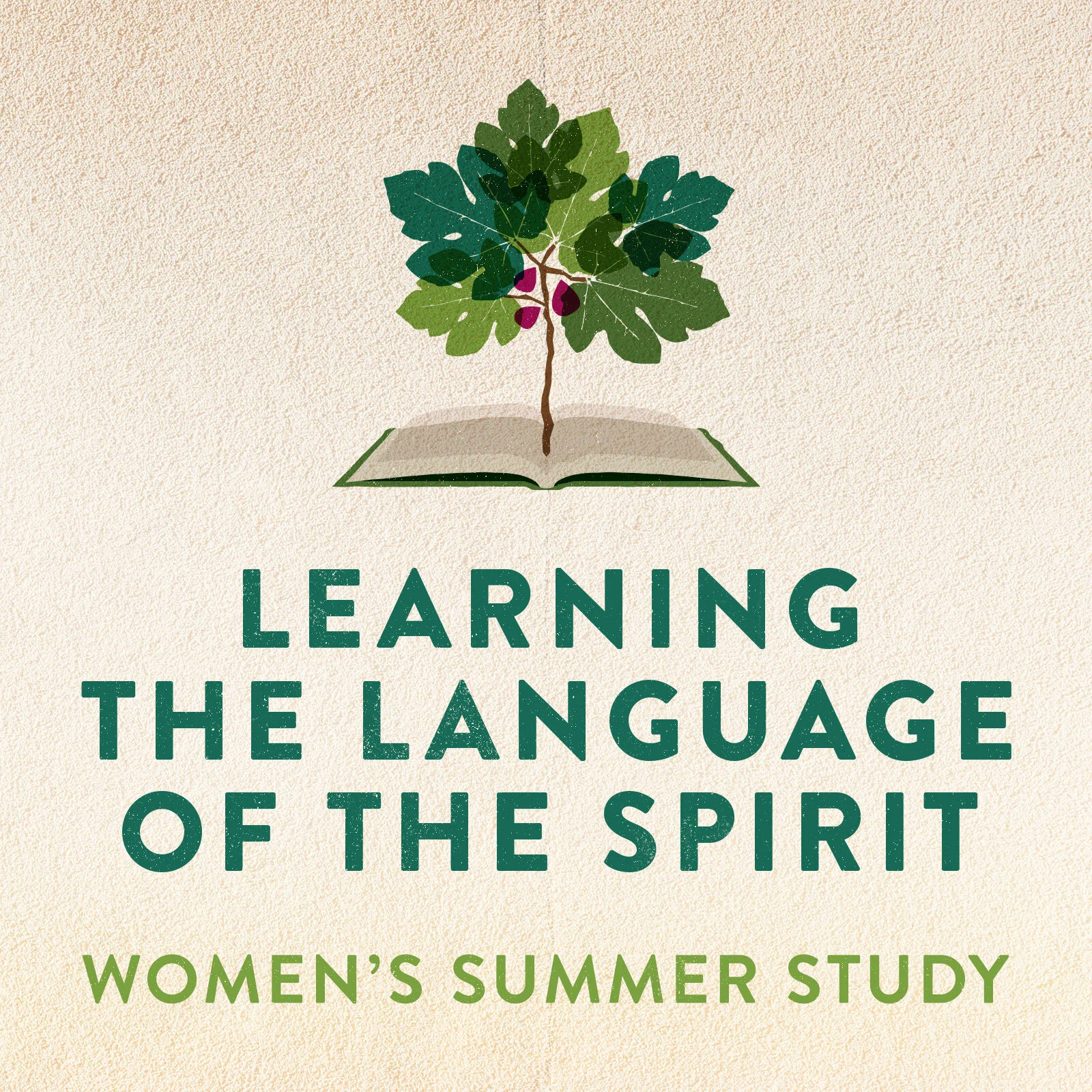 Women’s Online Summer Study: Learning the Language of the Spirit