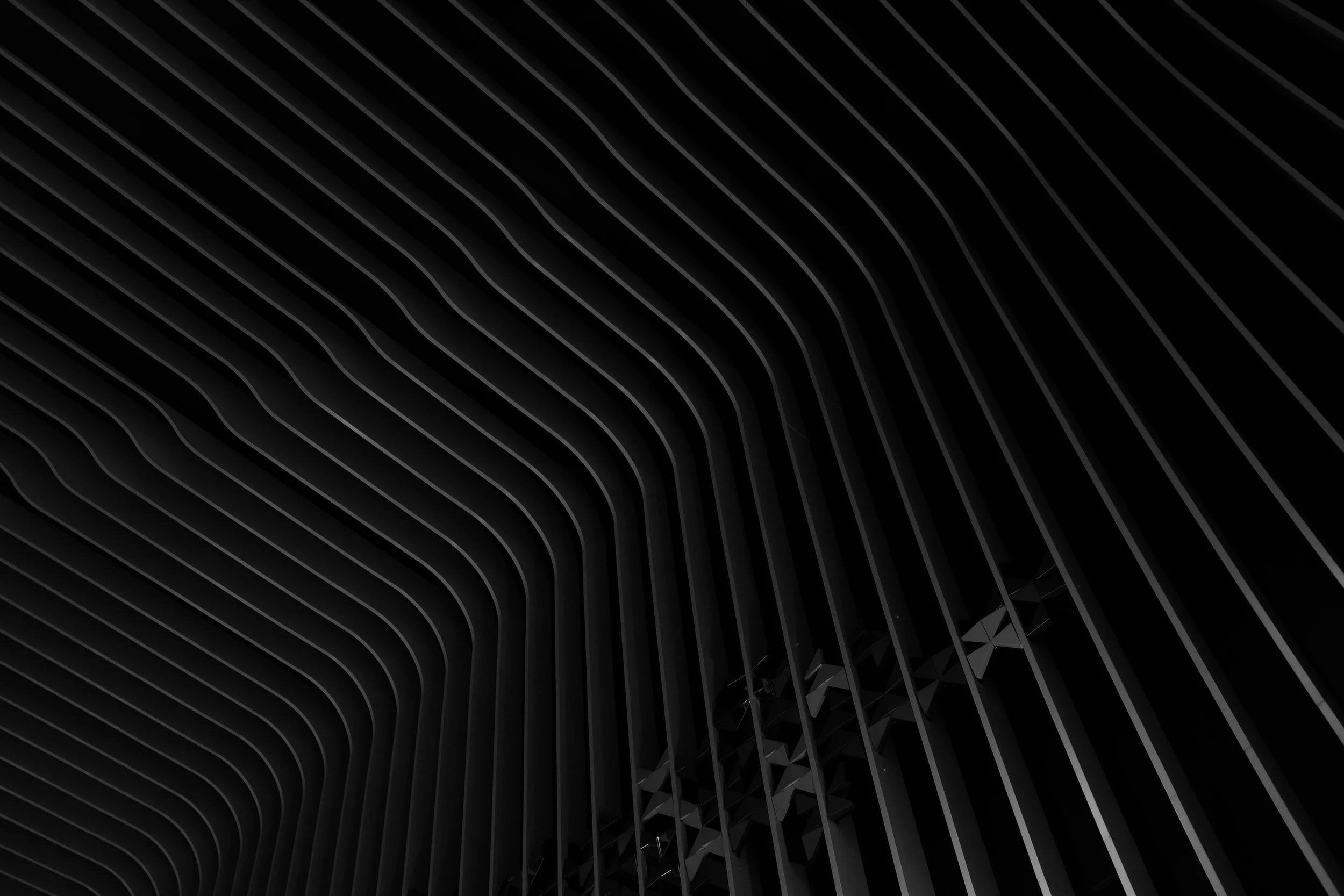 unsplash-image-wI96vLftzkE.jpg