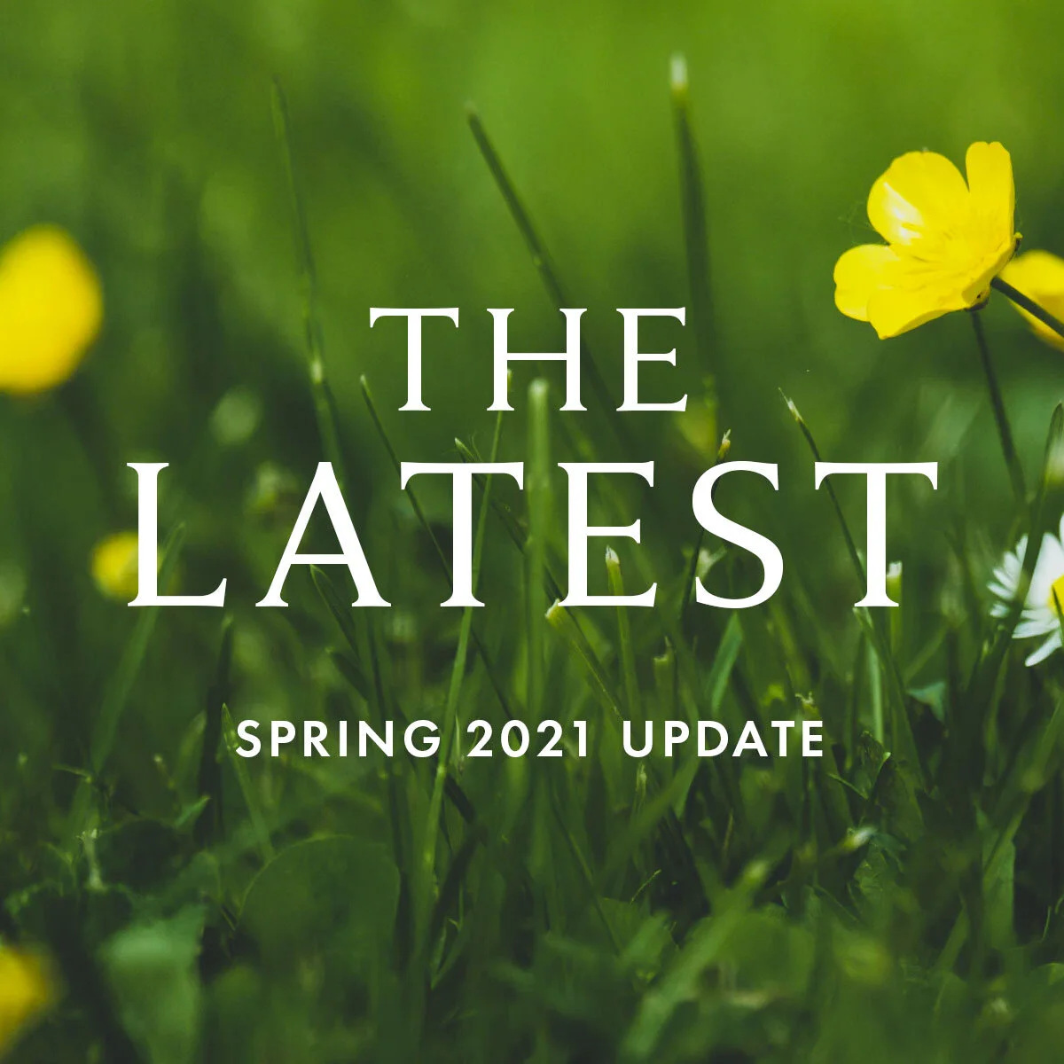 Spring 2021: The Latest for Worship &amp; Community at Third