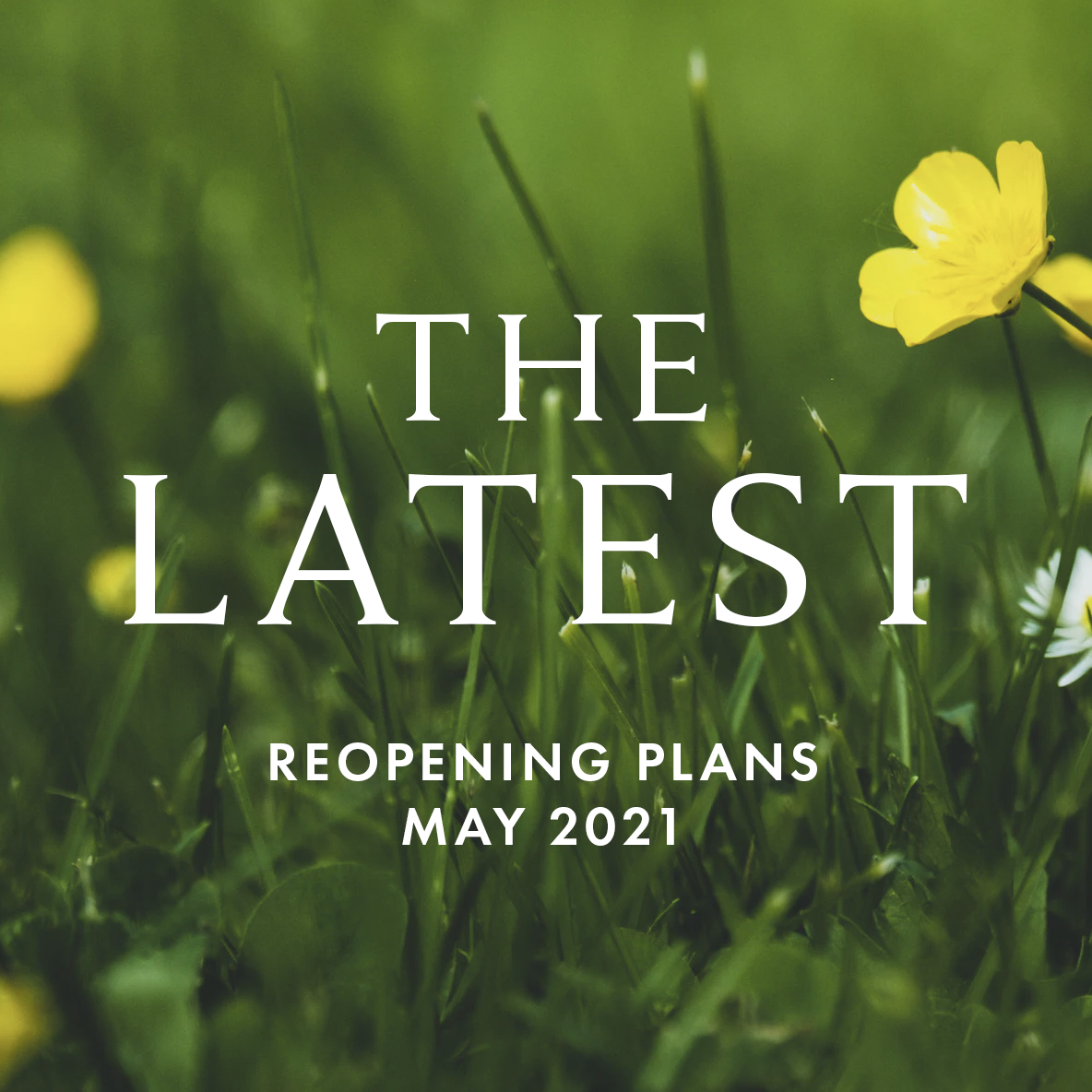 Reopening Plans - May 2021