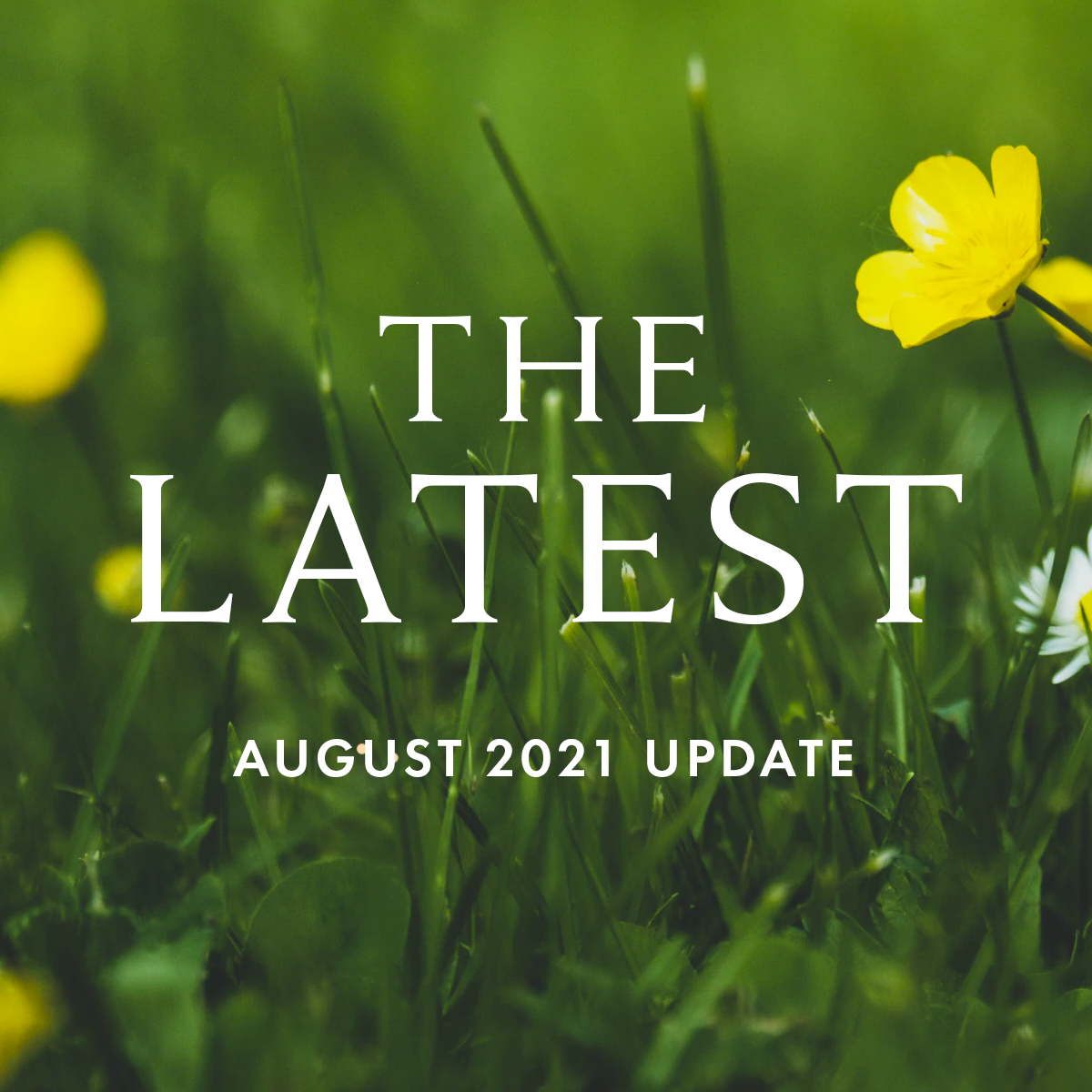 August 2021: Covid-19 Update &amp; Delta Variant
