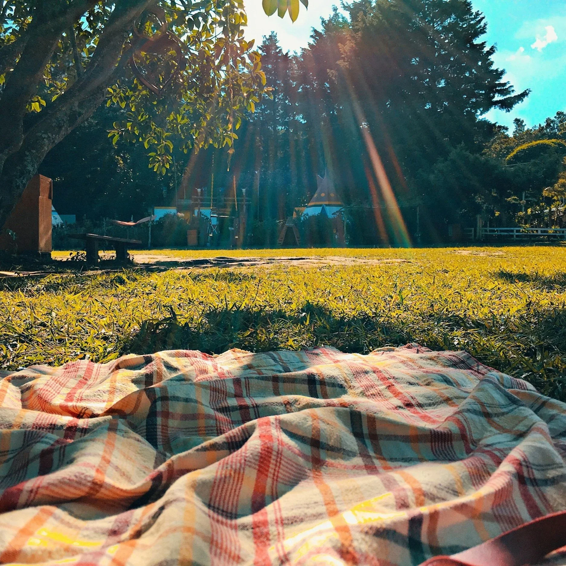 Parish Area Picnics