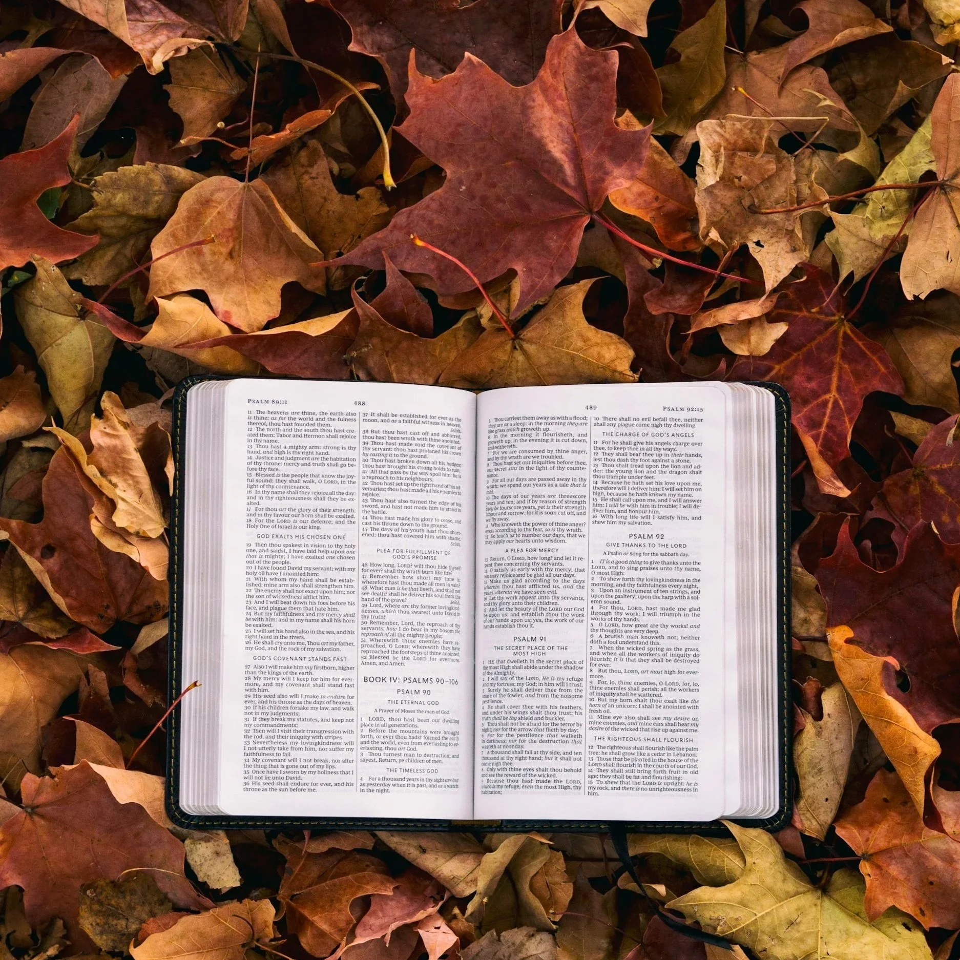 Guided Tour of the Bible: The Gospels