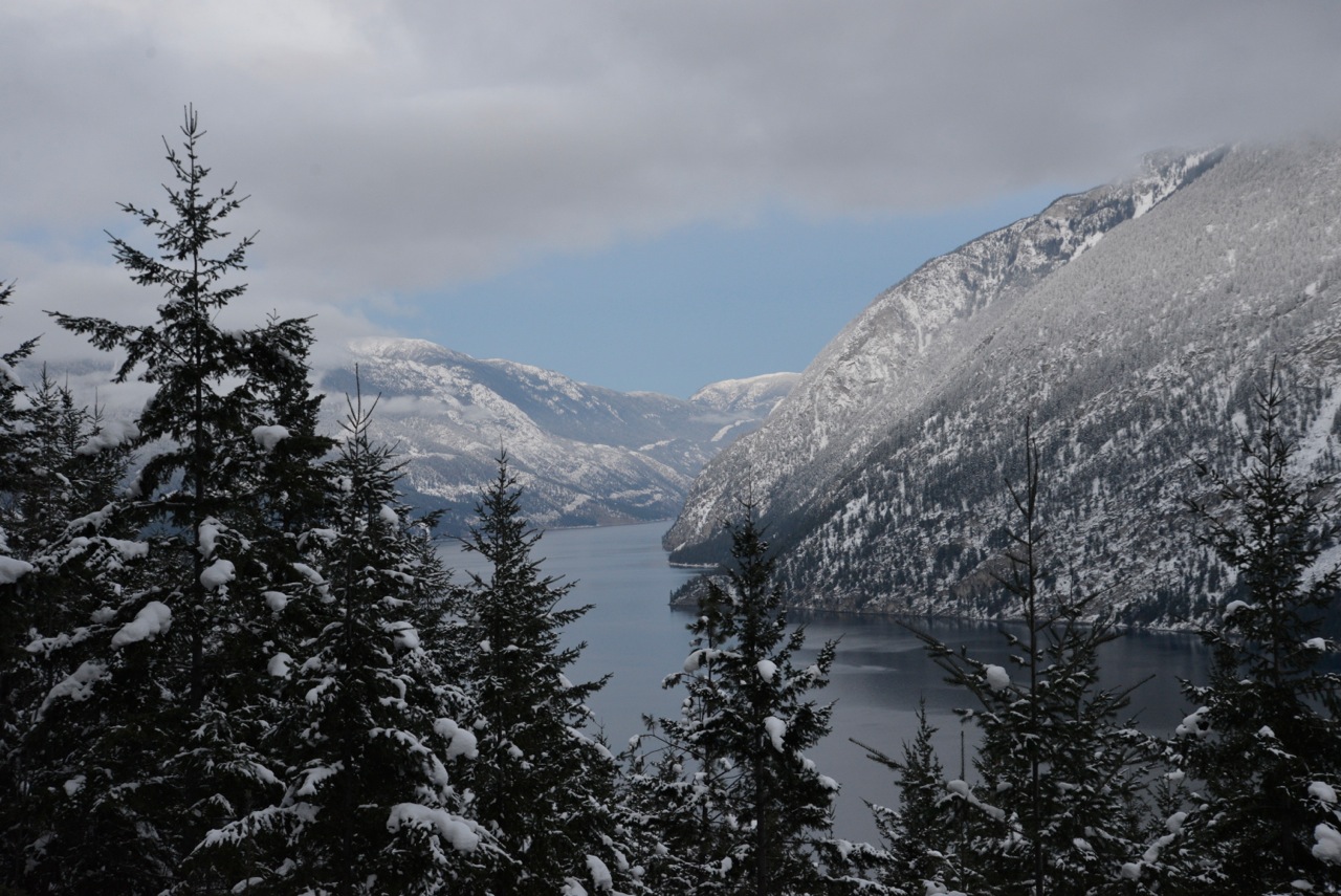 _DSC0819.jpeg