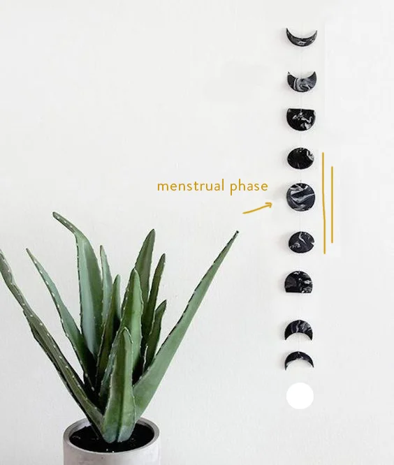 sync-with-your-menstrual-cycle.jpg