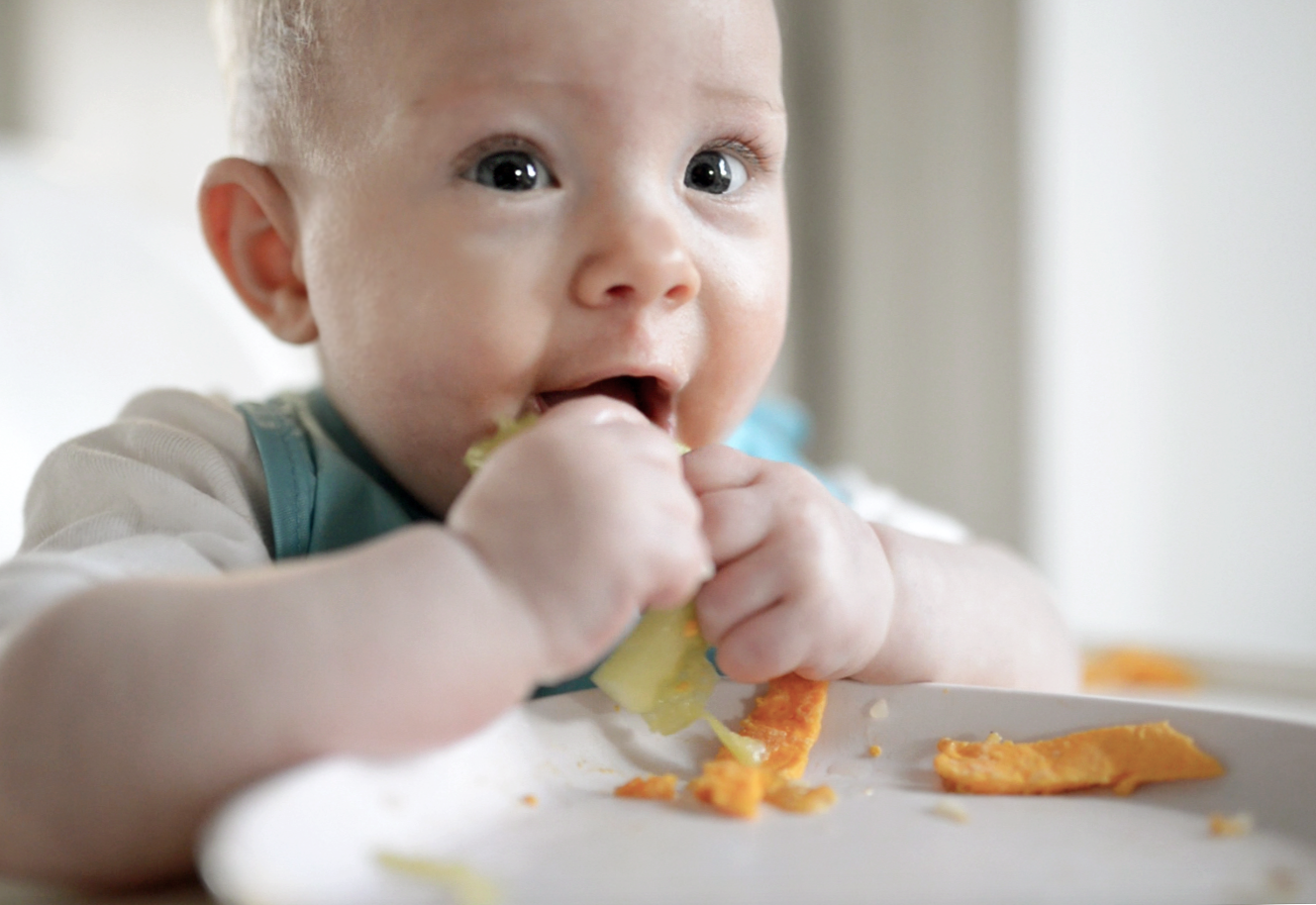 starting solids baby.png