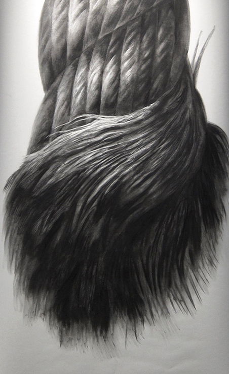 charcoal_1_detail.jpg