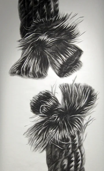 charcoal_4_detail.jpg