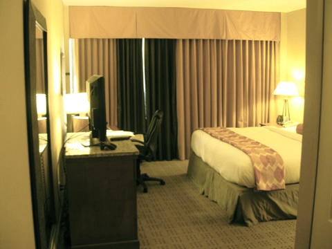 Hilton 315_small.jpg