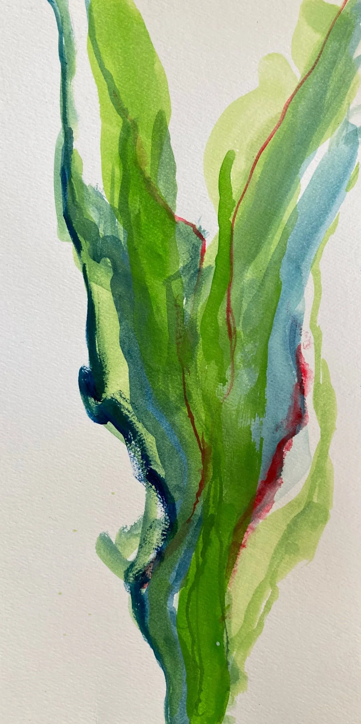 21884AC9-1E04-4FB2-818D-DDE67A49881B