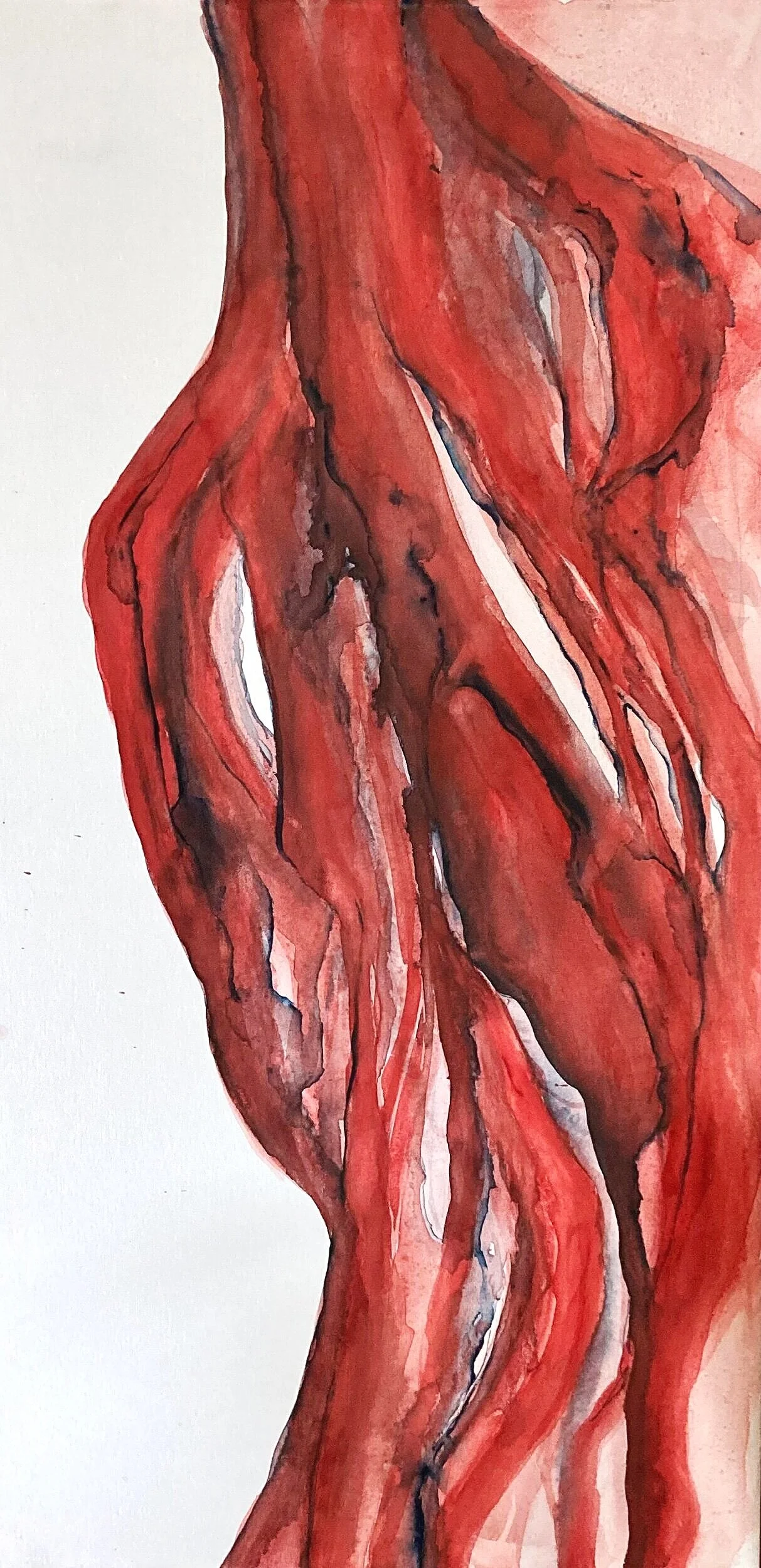 8AB5E4F9-8C10-418D-AE1C-D09FDCBA8915