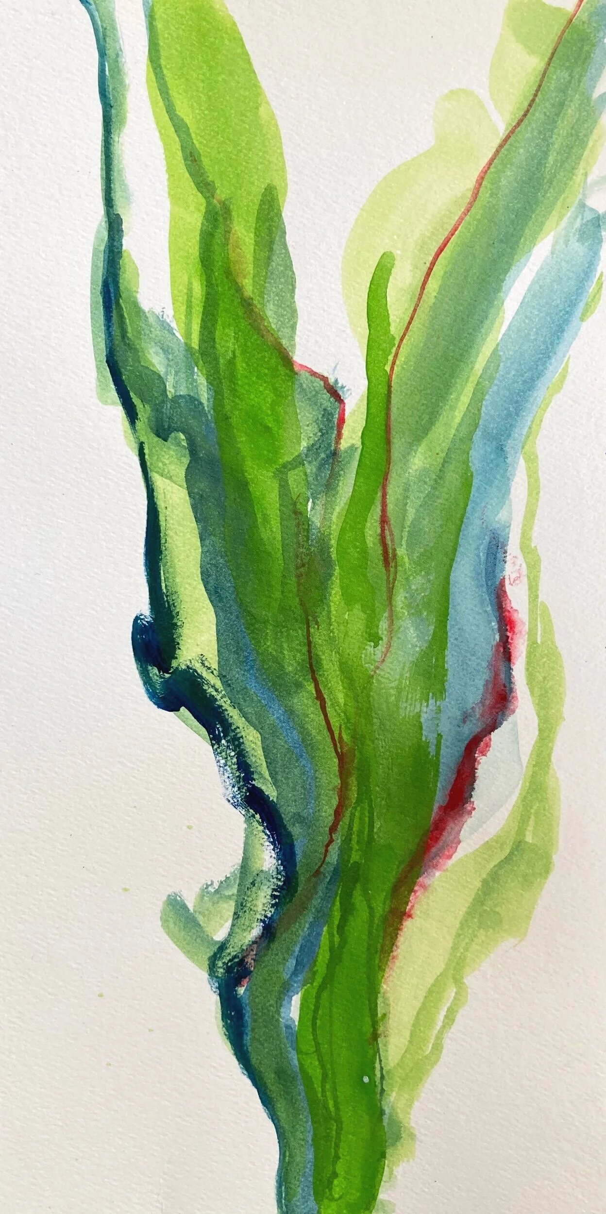 21884AC9-1E04-4FB2-818D-DDE67A49881B