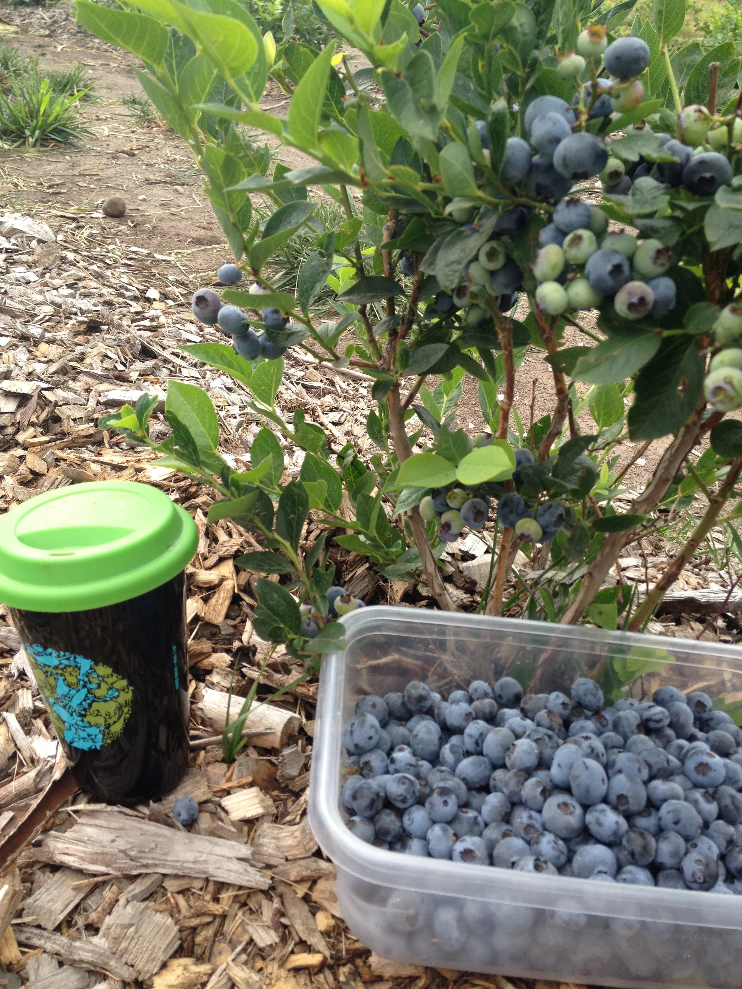 A few extra quarts go a long way in the winter months.