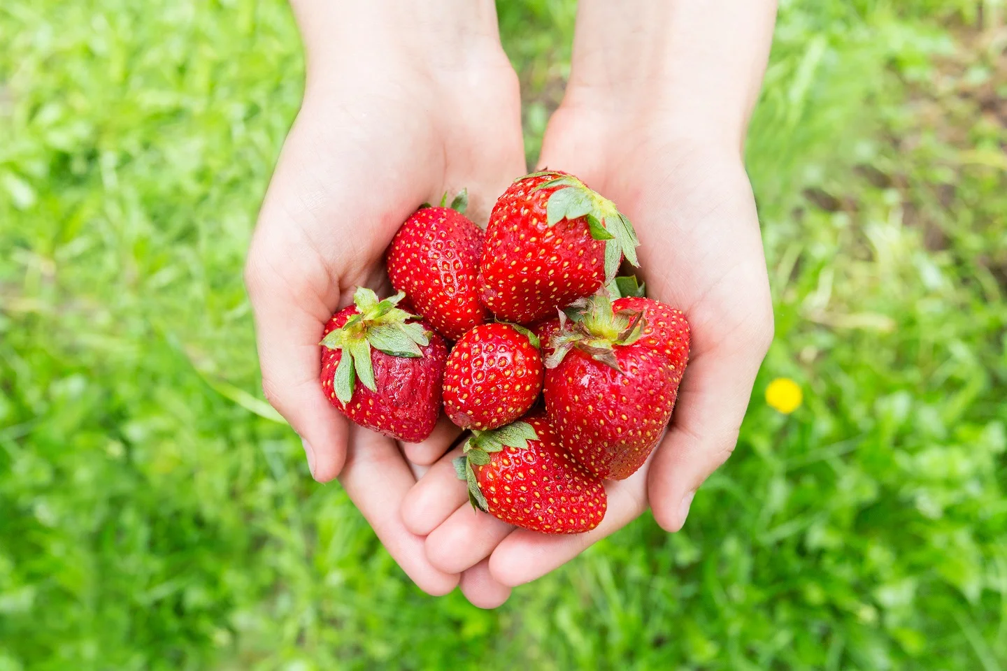 shutterstock_301222874_crop.jpg