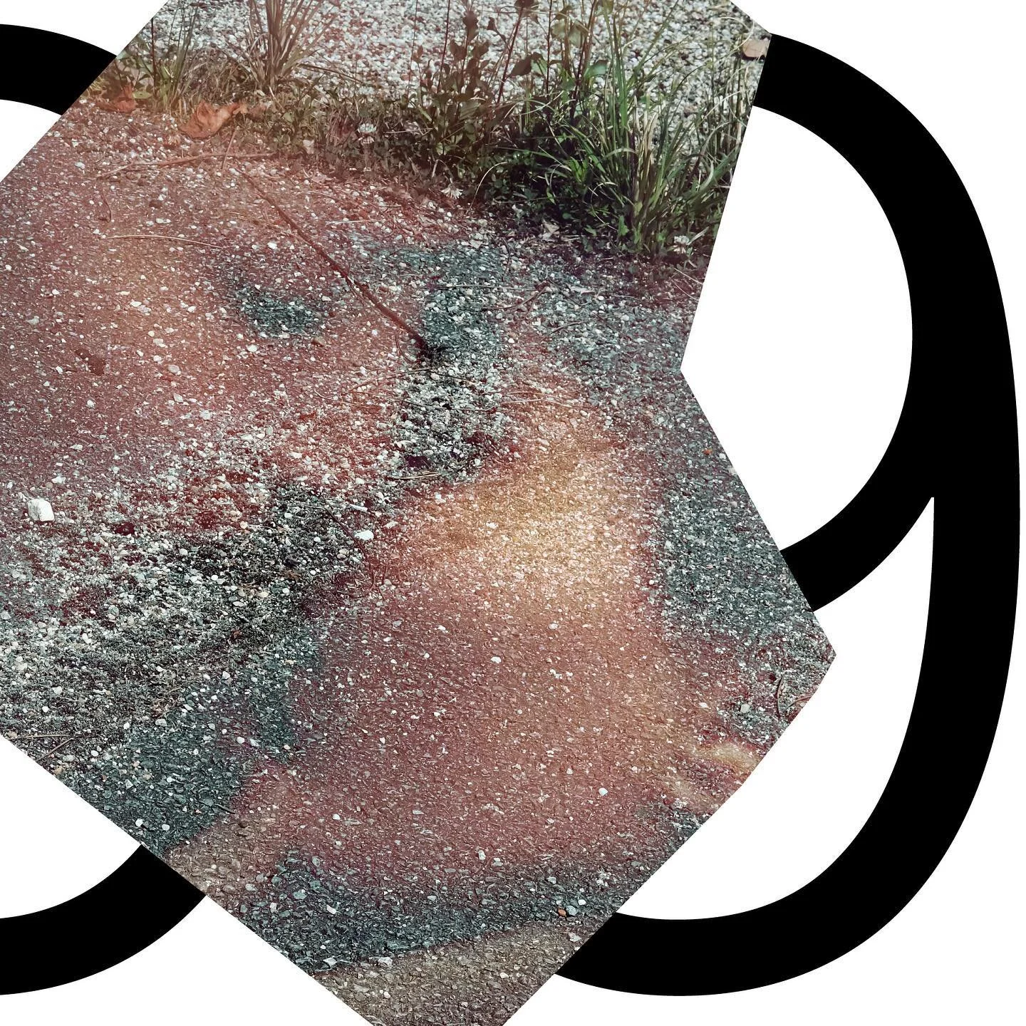 Exposition &laquo; Habiter - 10 ans de photographie &raquo;
Du 1er d&eacute;cembre 2022 au 29 janvier 2023

@camille_richr 

Vernissage de 18h &agrave; 23h le 1er d&eacute;cembre &agrave; la Fabrique Pola &agrave; Bordeaux 

A l&rsquo;occasion de son