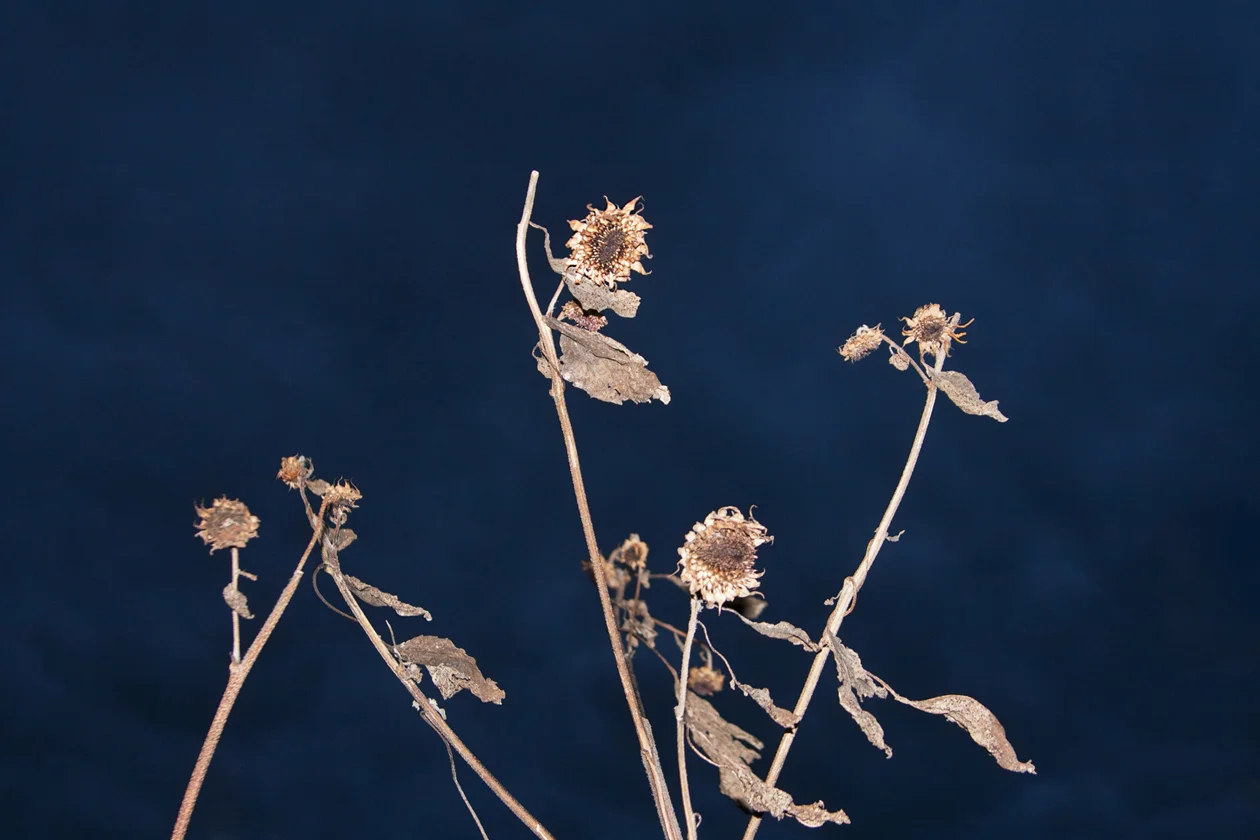 Ephemeral05