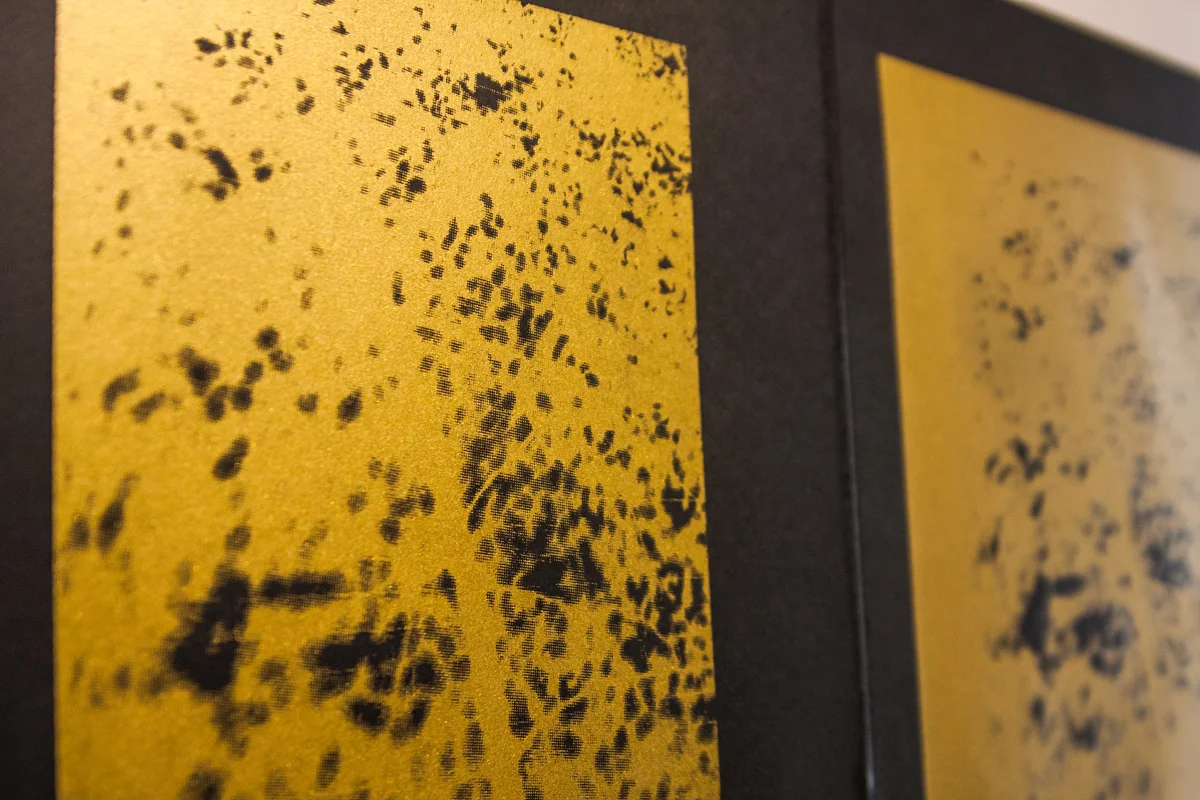 Space 1, Allegory , Silkscreen b.jpg