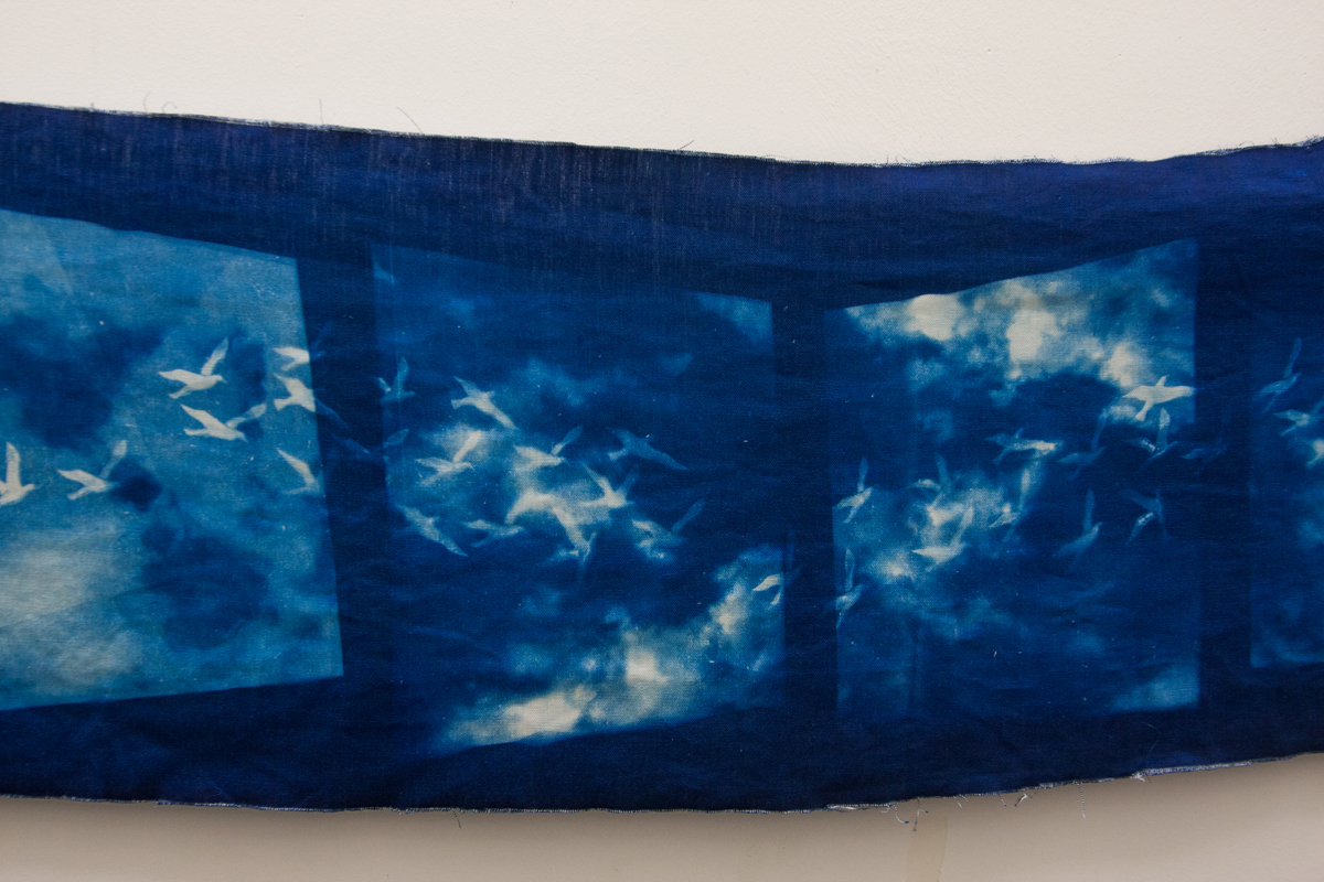 Space 6, All the Birds have Songs to Sing, Cyanotype Scroll.jpg