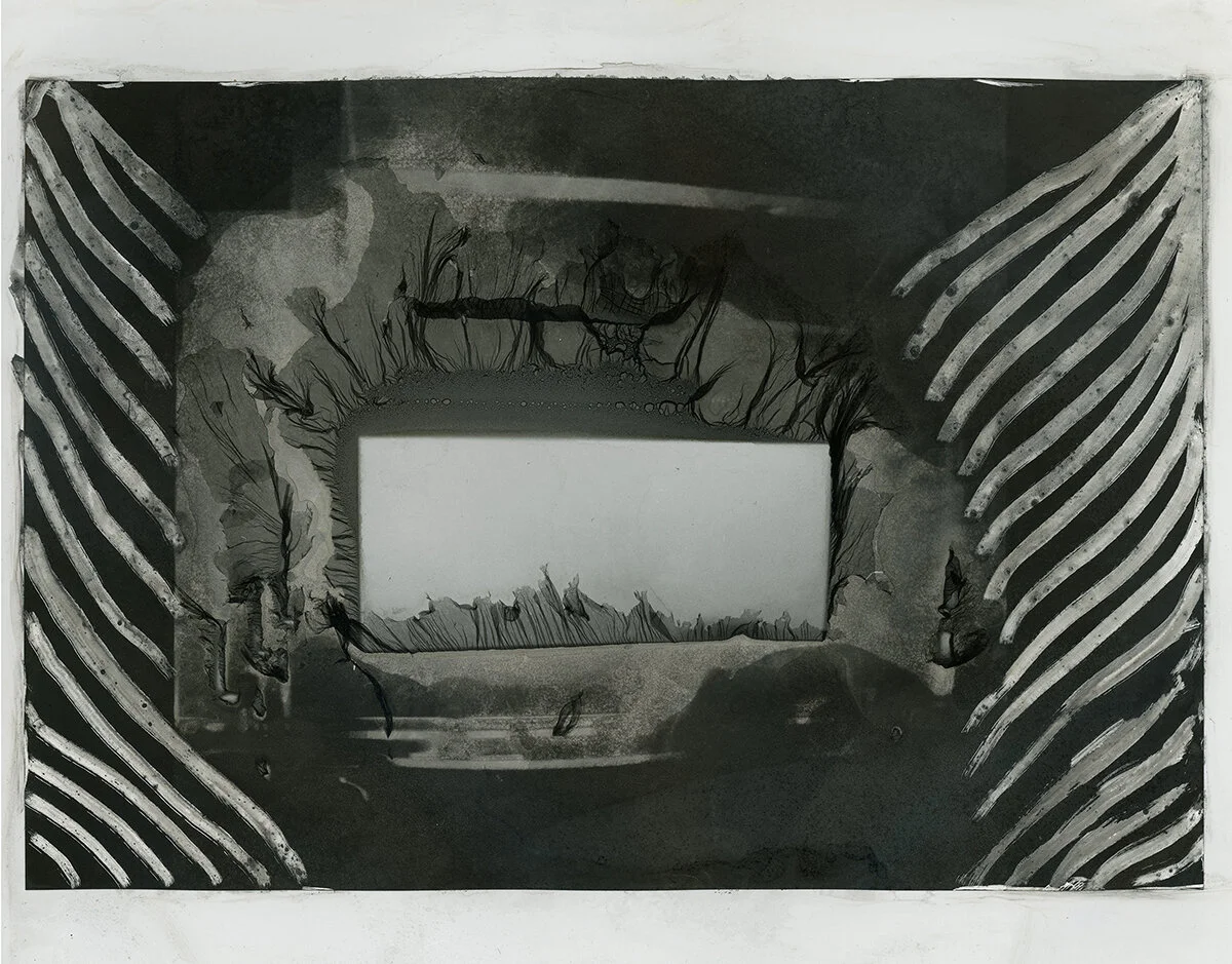 Vulgar Acts of Mimicry 01 