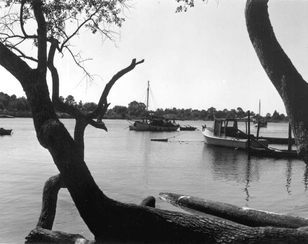 View looking toward sponge boat on the Steinhatchee River