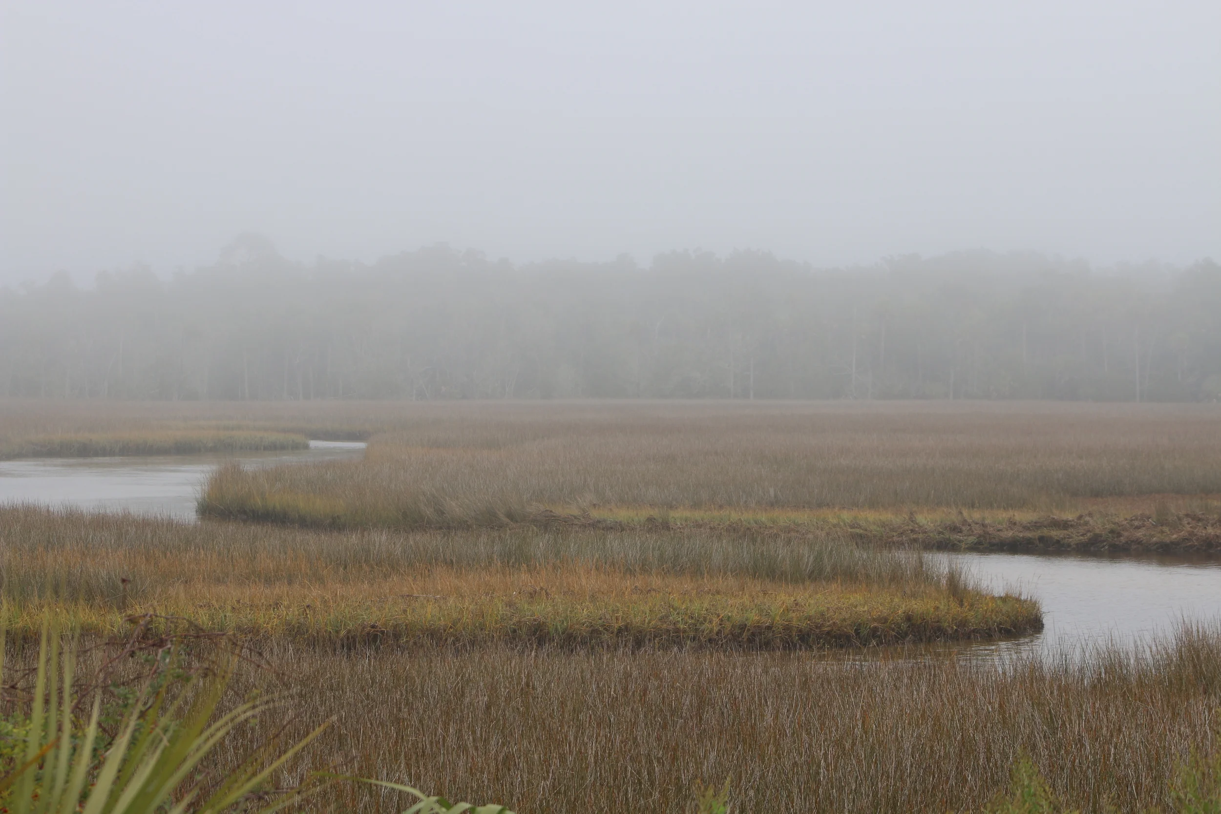 Real Estate — Steinhatchee.com