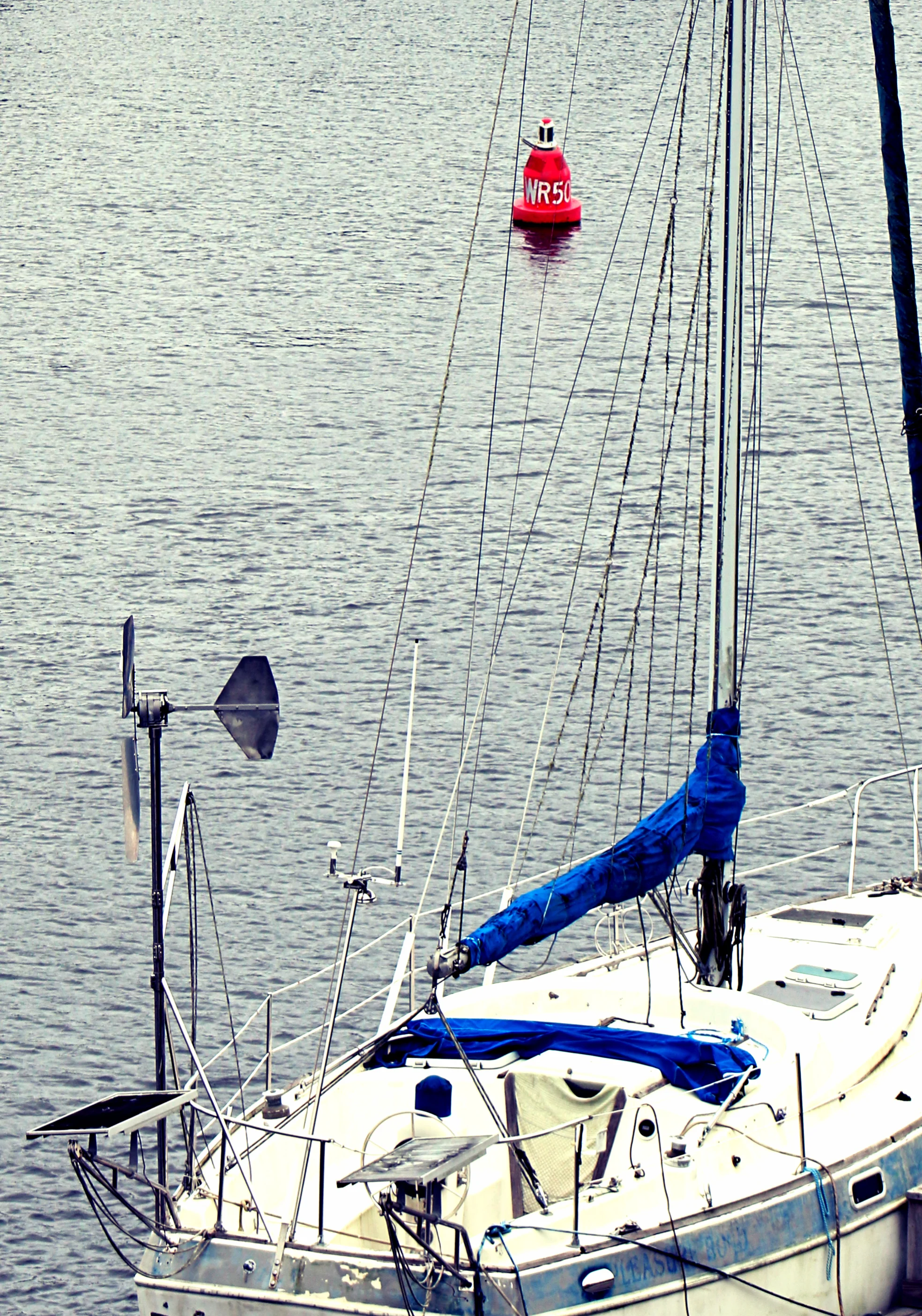 IMG_3052_Fotor.jpg
