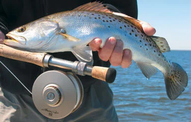 Steinhatchee Redfish Fly Fishing - Florida Sportsman