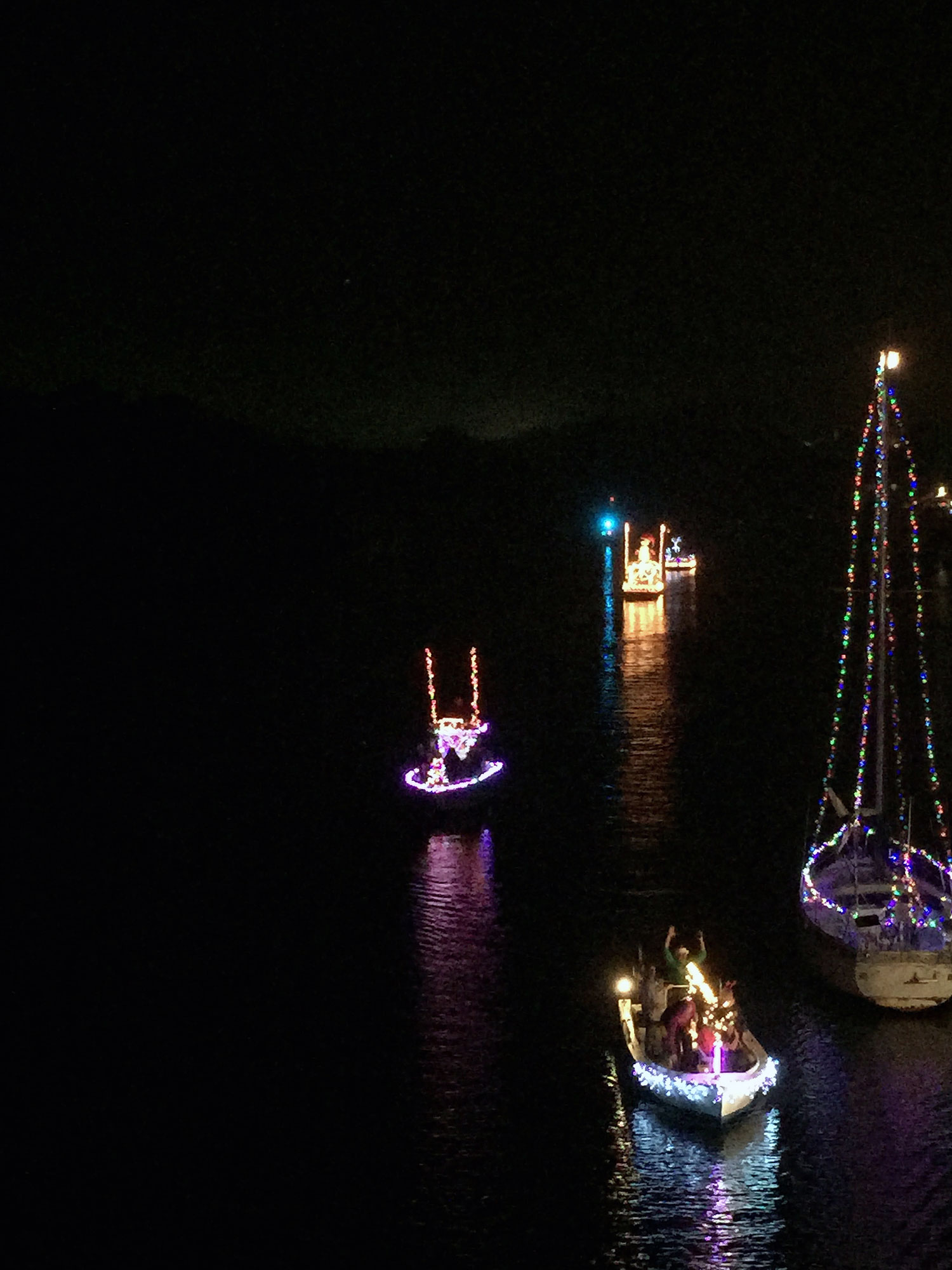 2014-boat-parade4.jpg