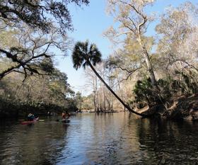 Credit Steve Newborn / WUSF News