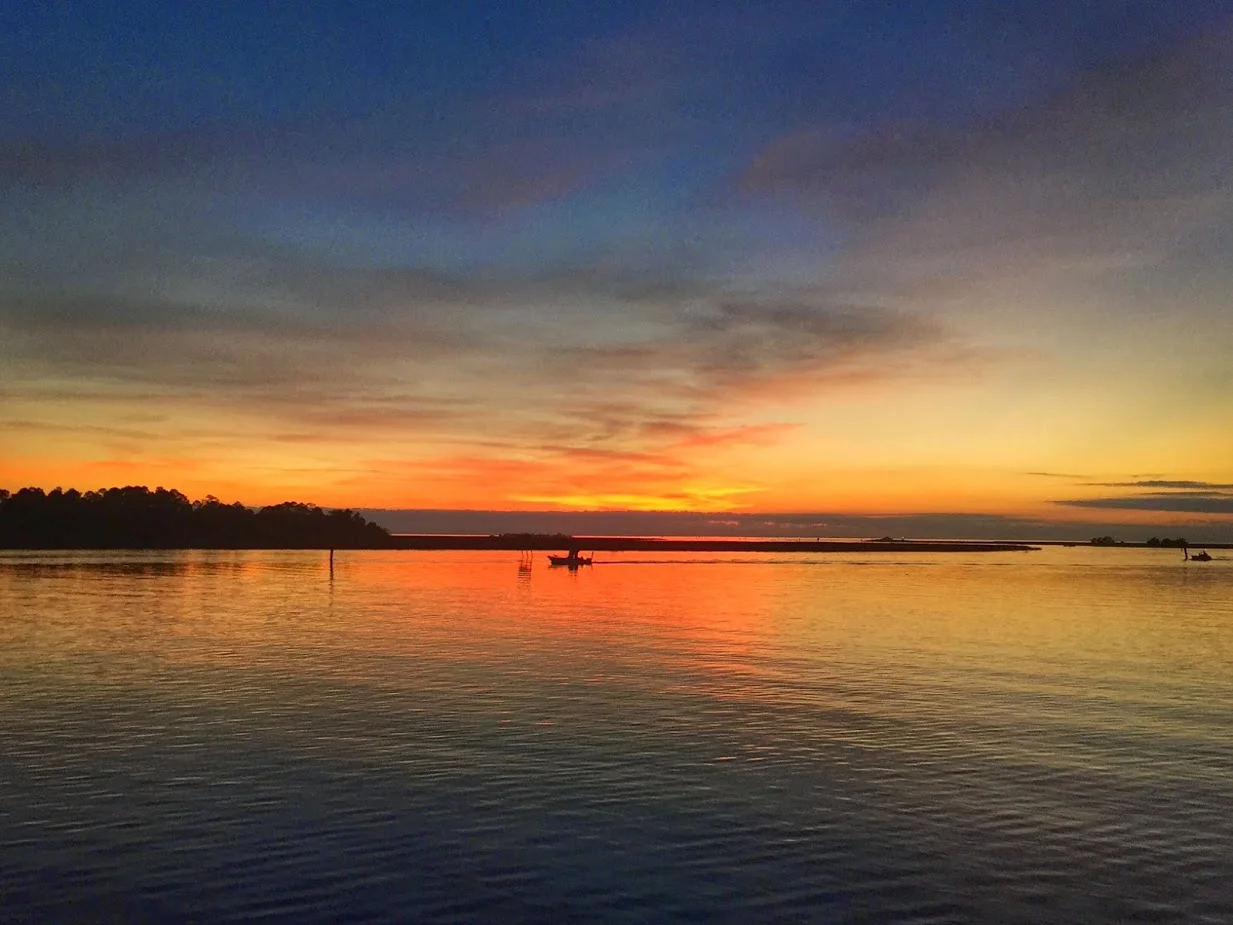 It’s a good year for scallops