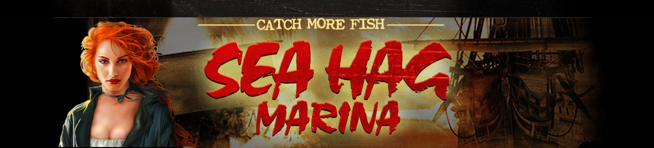 “Full service marina with complete tackle and bait shop. Motel rooms and dry storage and much more! - From the owner”
