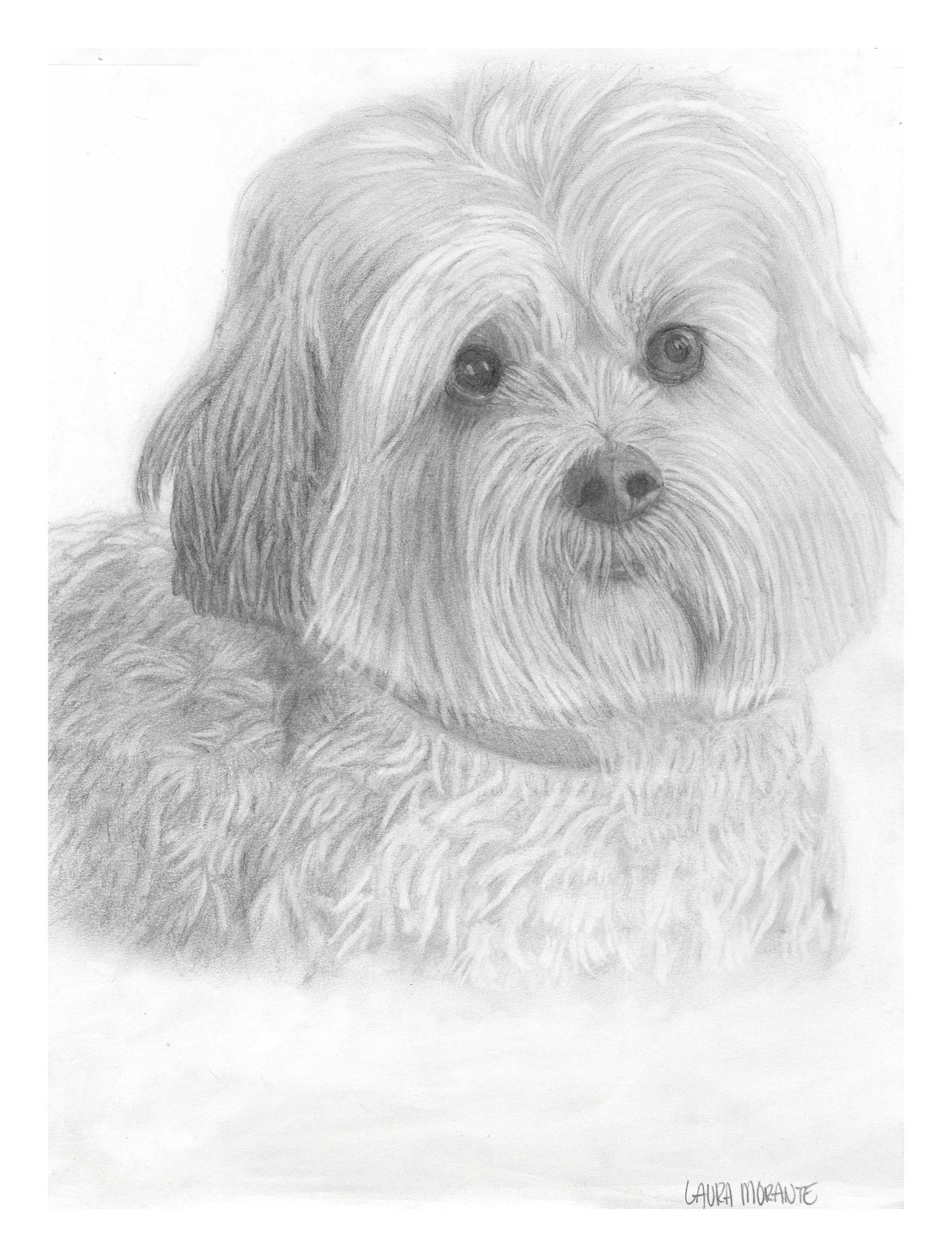 BMorante_FluffyDogPencil_04_24_2019_Adjusted.jpeg