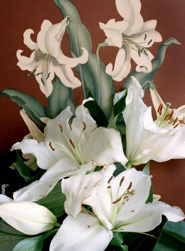 Lilies, 28x38in, C-Print, 2011