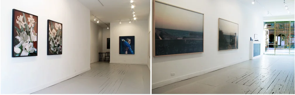 Installation Views, ESP | Erin Stump Projects, Toronto, 2011