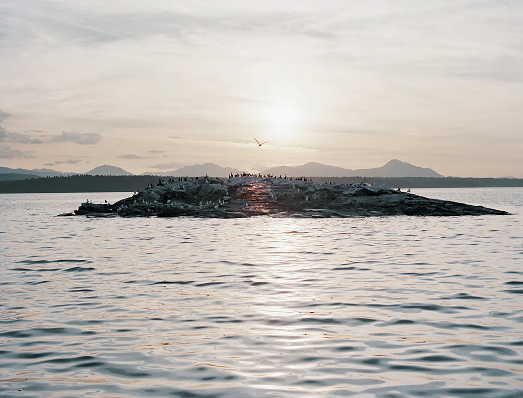 There was an island situated beyond the straits..., 44x58in, C-Print, 2014-16