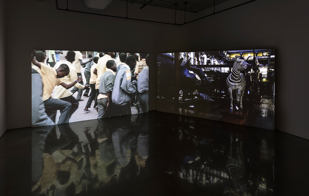 Installation View, Doris McCarthy Gallery at the University of Toronto Scarborough, 2018