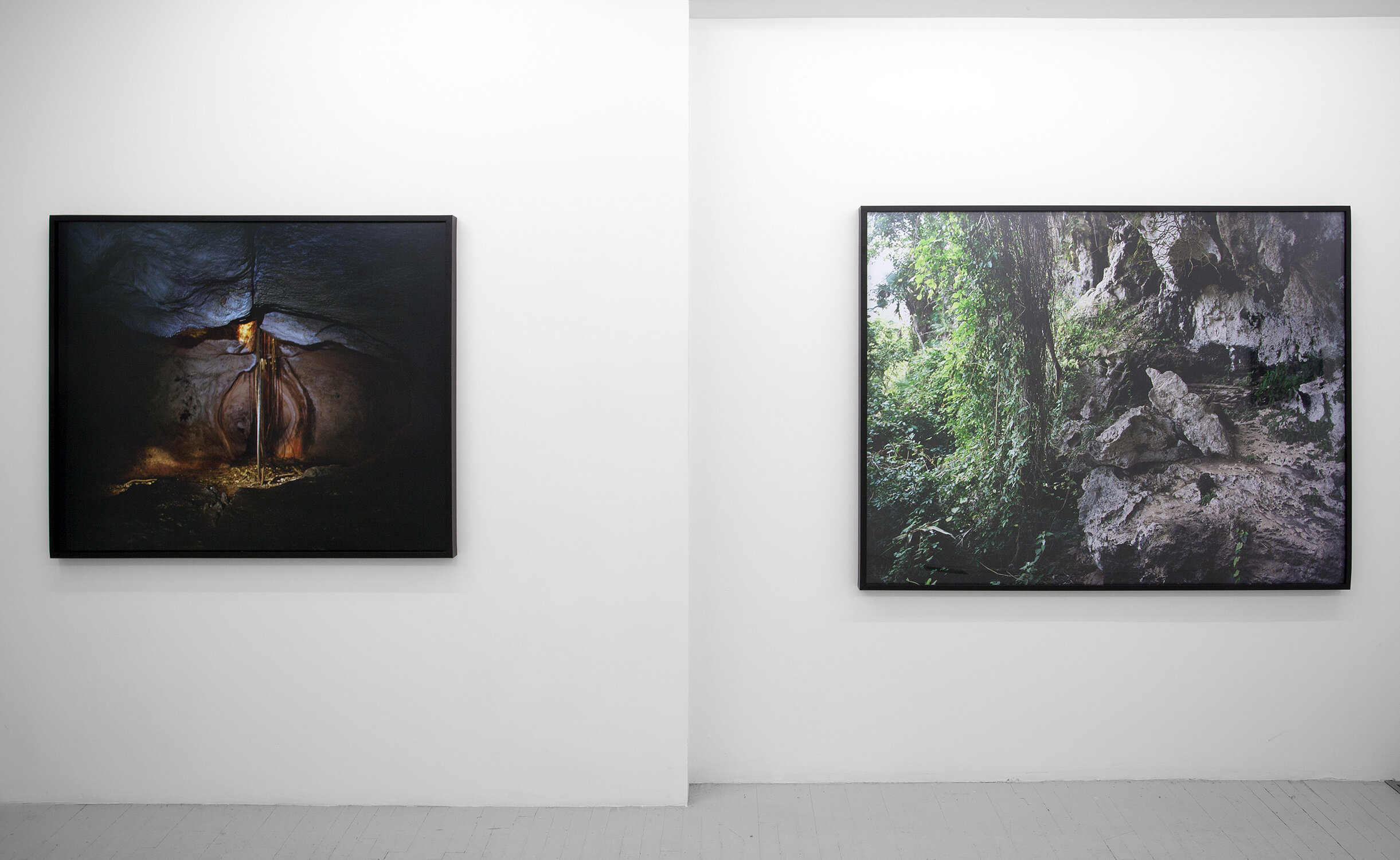  left: “At Night They Go Amongst the Living”, C-Print, 40x50in, 2012-13;  right: Photograph of Ana Mendieta’s Esculturas Rupestres (Rupestrian Sculptures), Jaruco Park, Cuba, 2012”, C-Print, 48x63in, 2012-13  Installation View: Erin Stump Projects, T