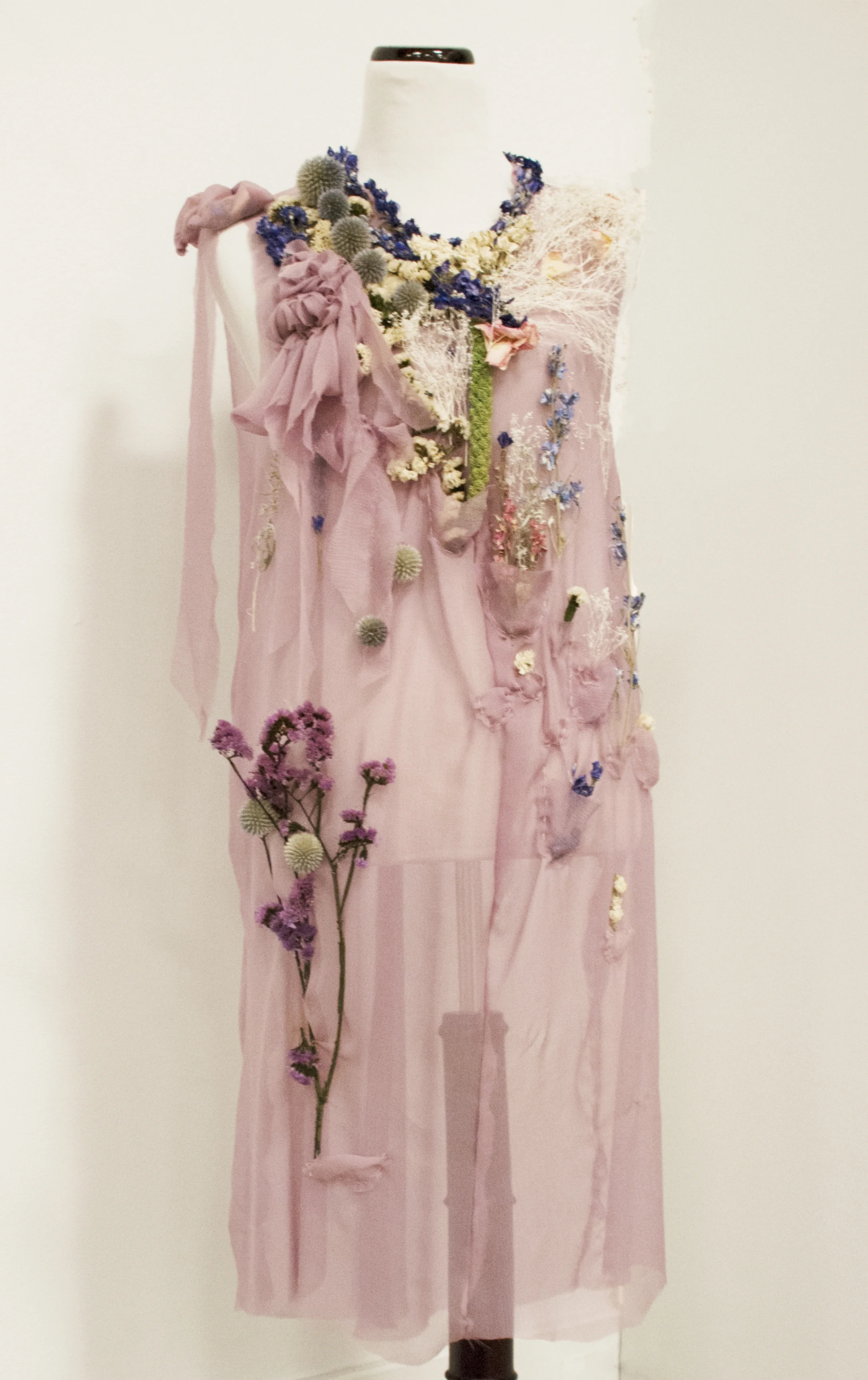 (new) Never Land Dress .jpg