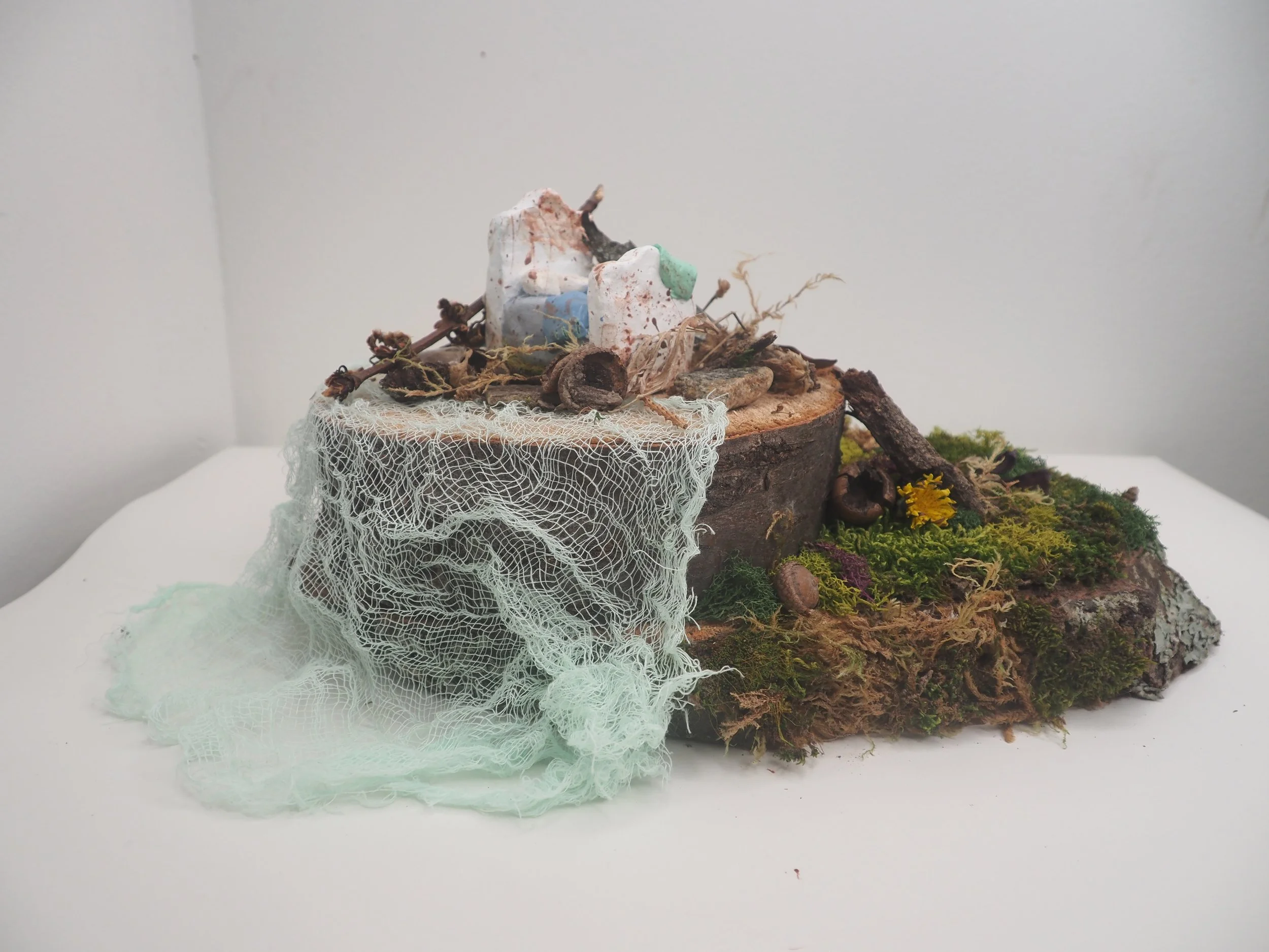 _Monster Under the Bed_.JPG