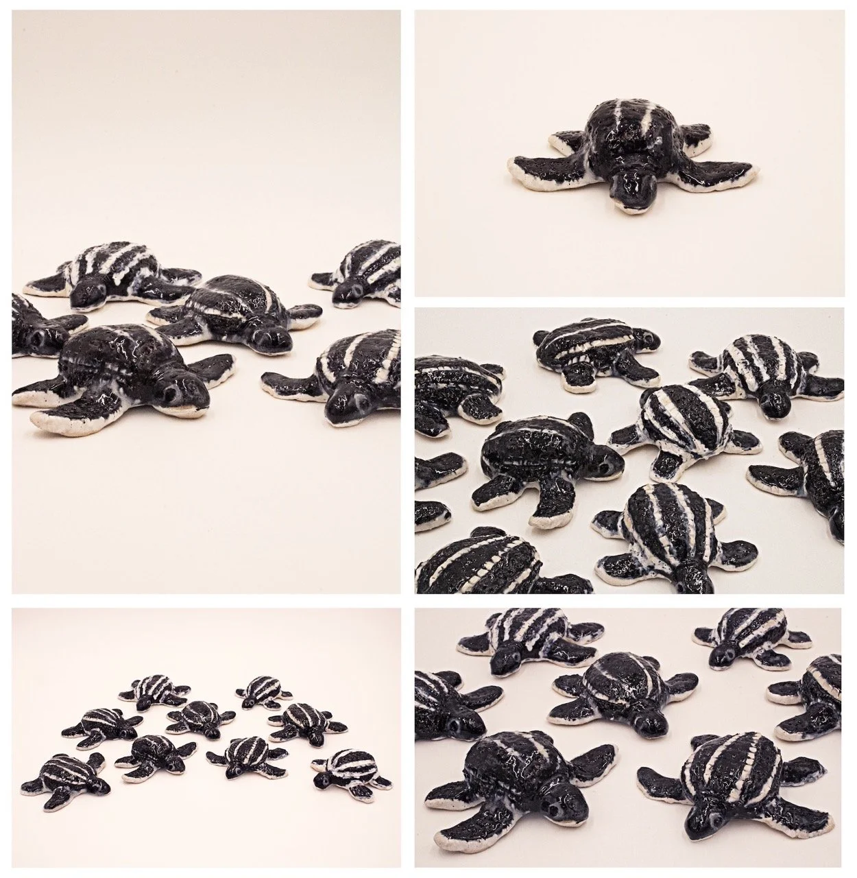 8__Tortuguitas_.jpeg