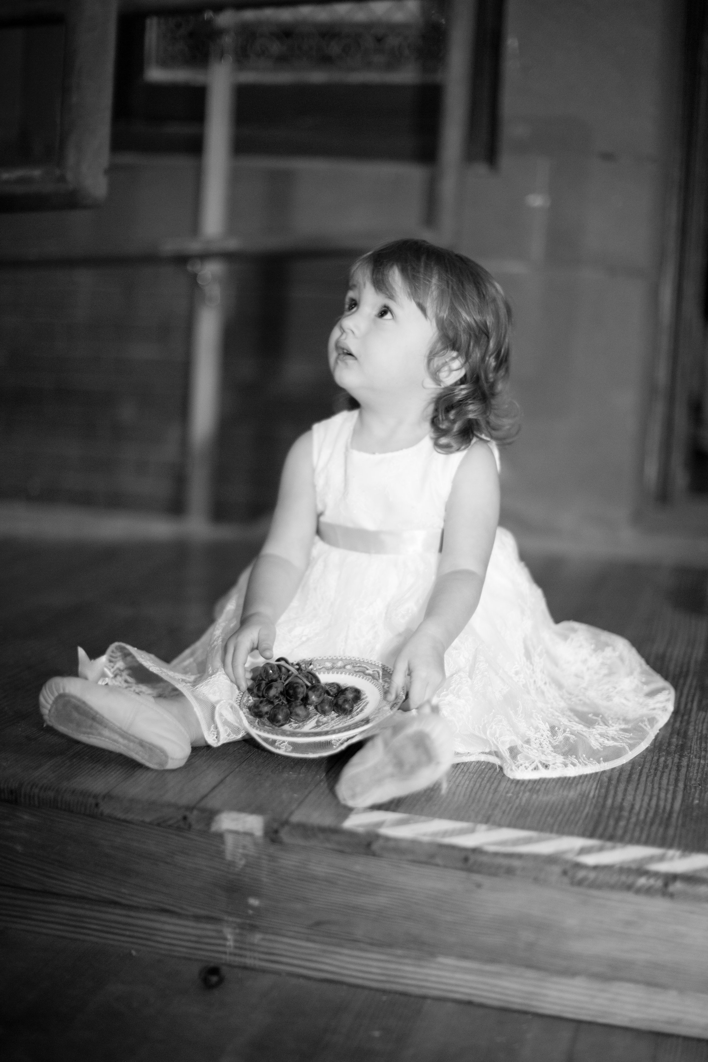 Photography by Lisa Vollmer