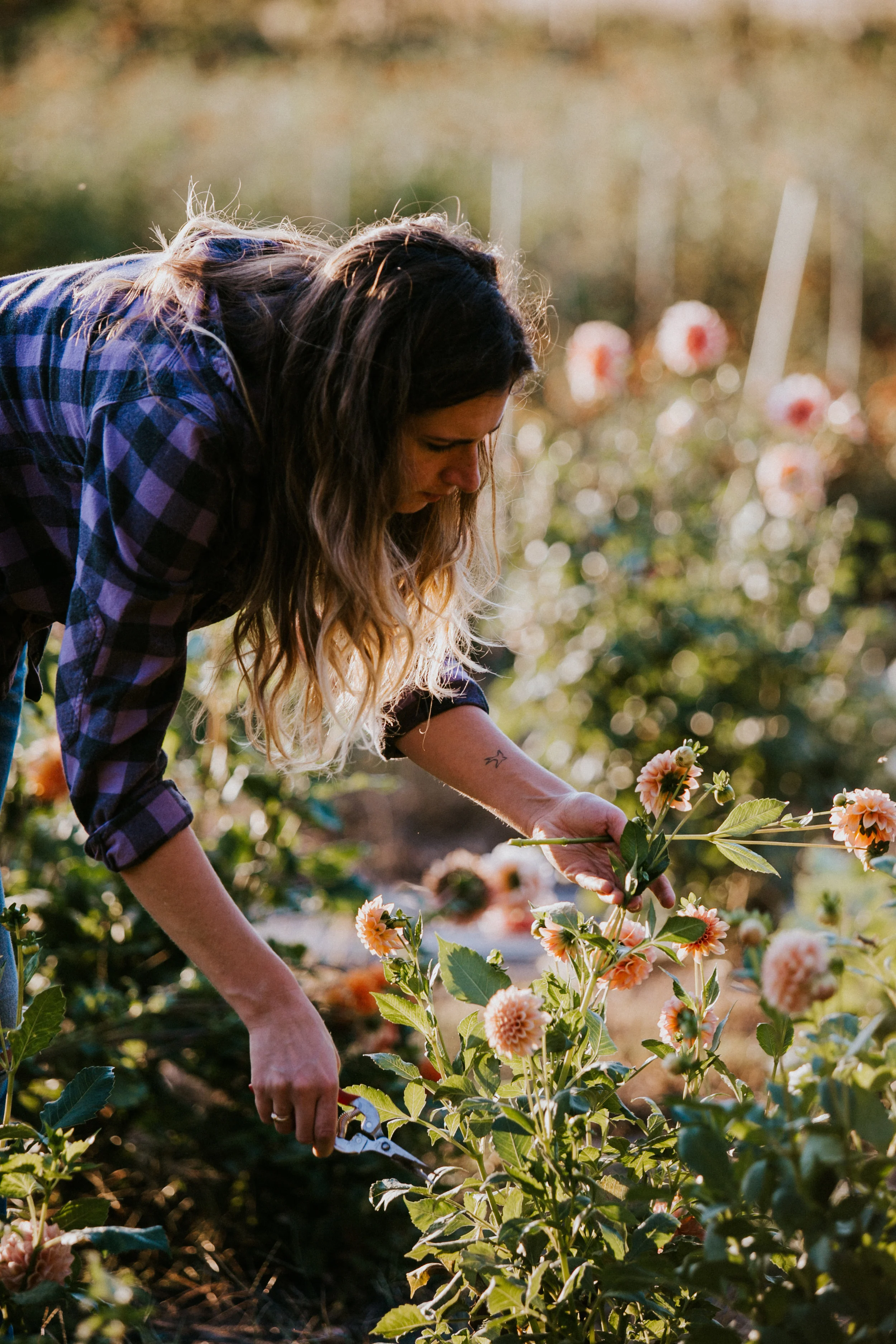 Field & Florist_043.jpg