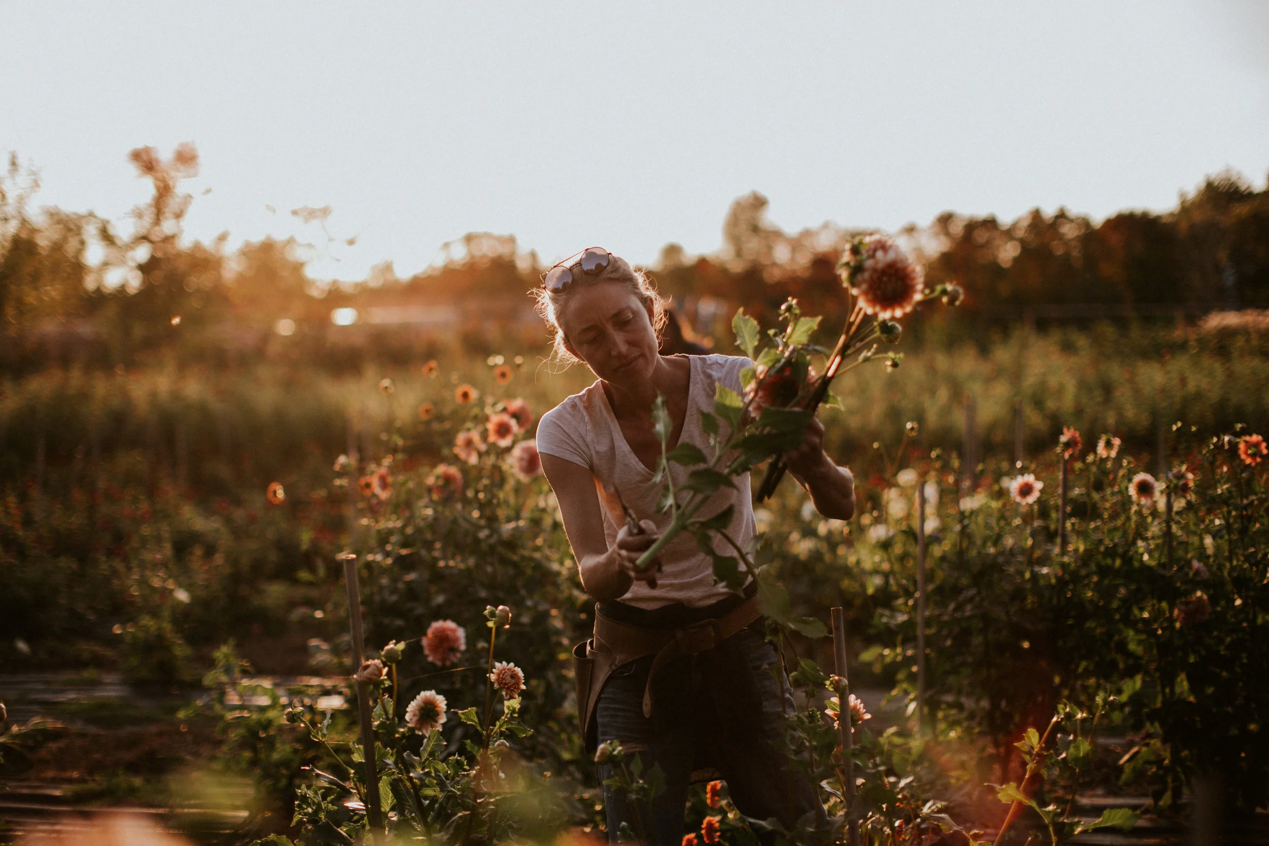 Field & Florist_079.jpg