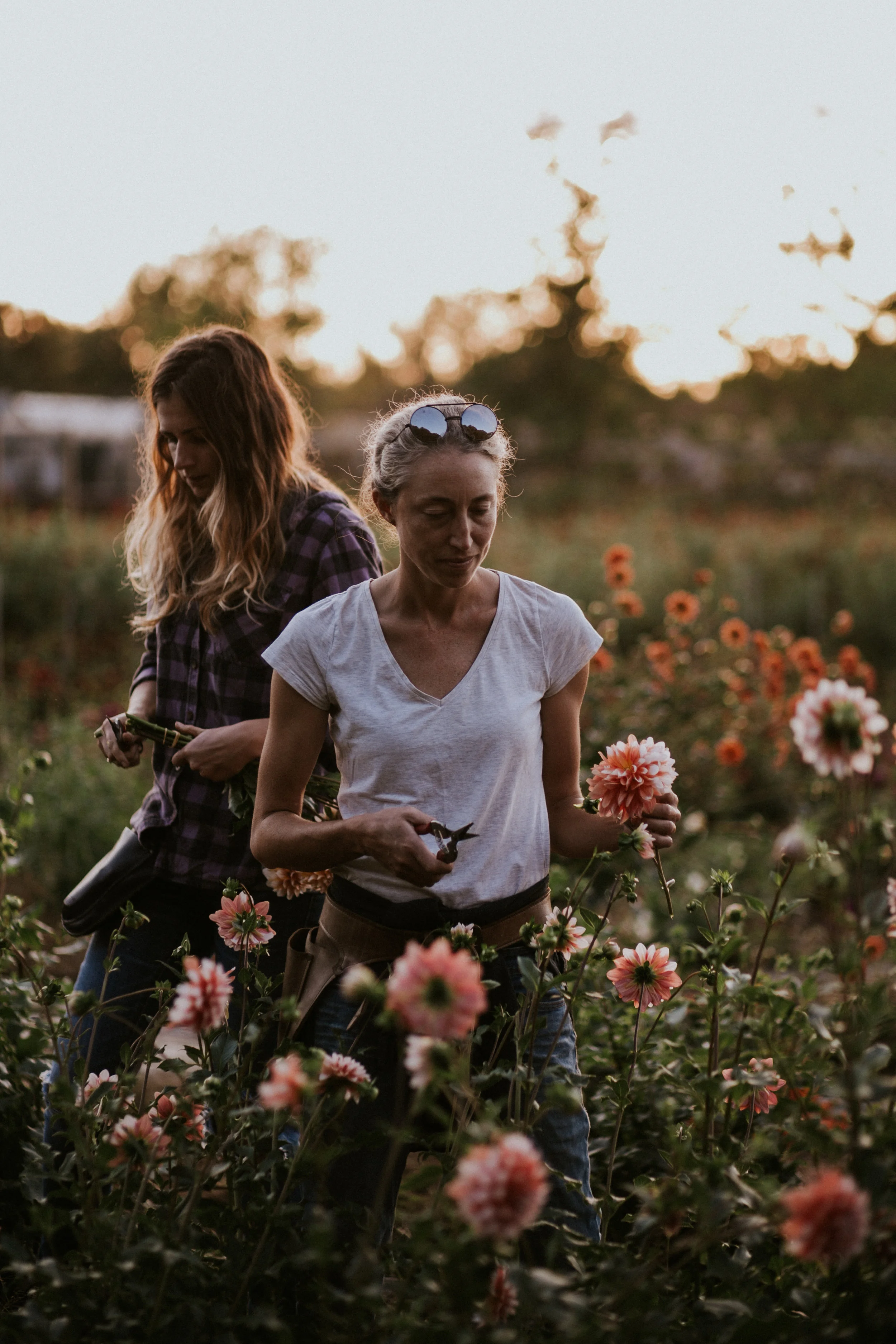 Field & Florist_103.jpg